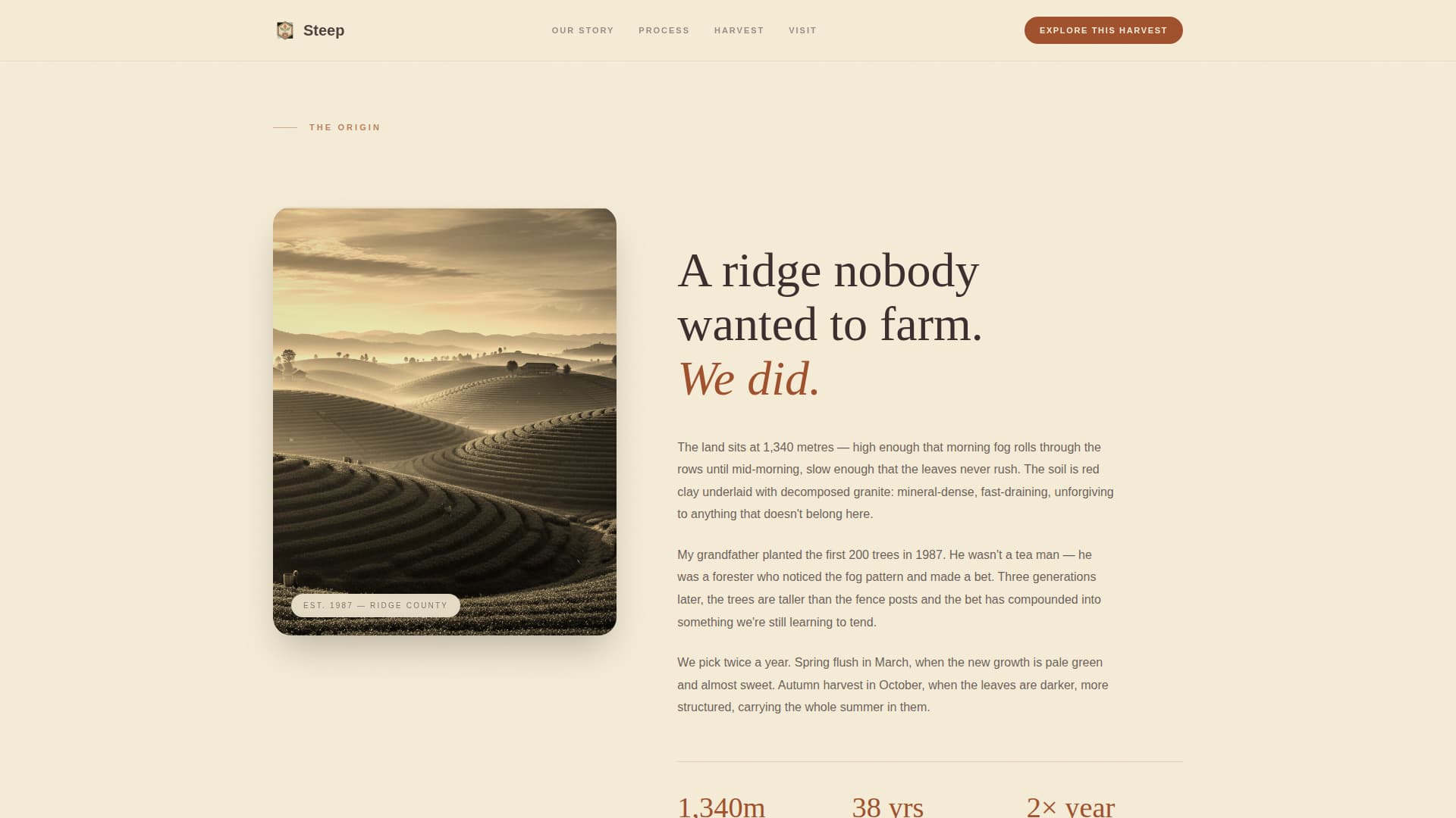 Spice & Herb Farm Blog Website Template