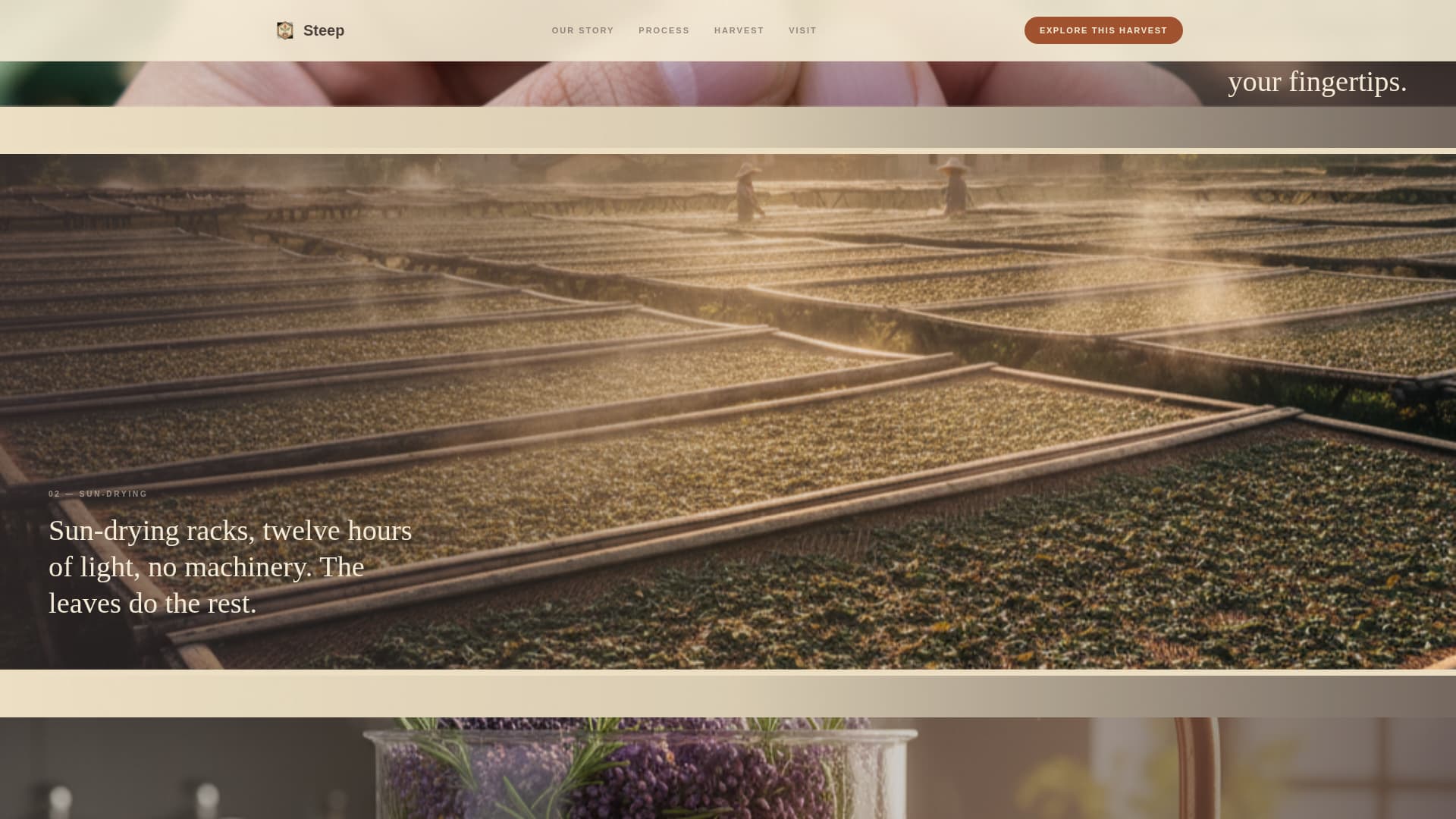 Spice & Herb Farm Blog Website Template