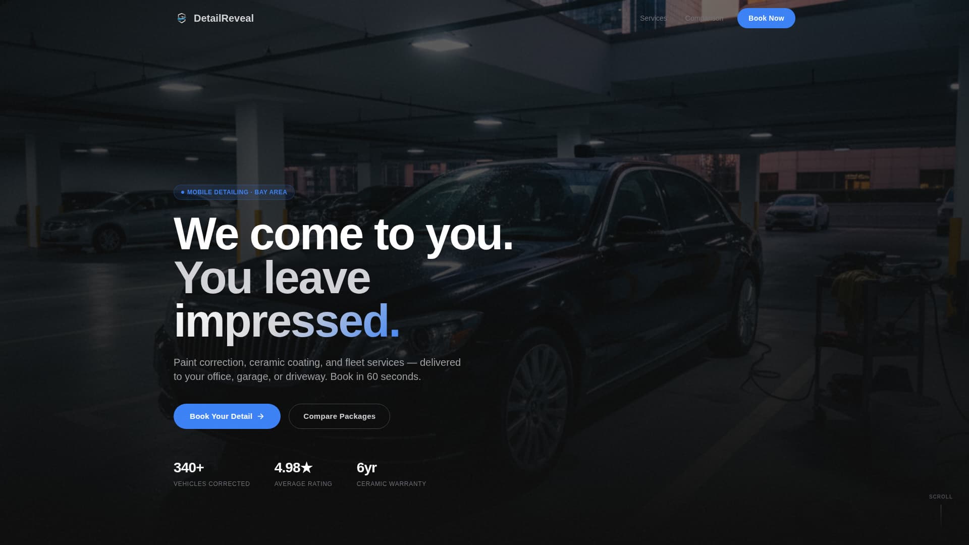 Detailreveal - Precision Detailing Landing Page Template