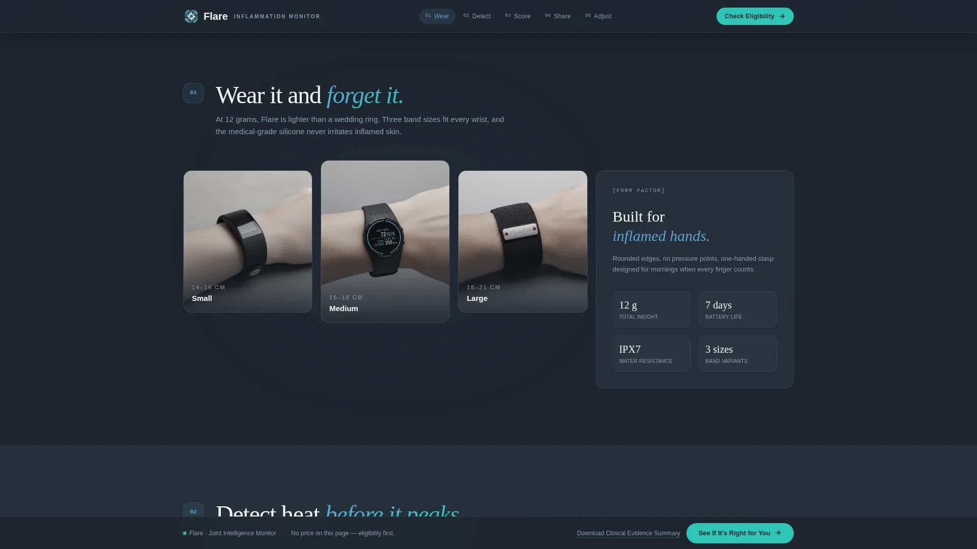 Flare - Monitoring Device Landing Page Template