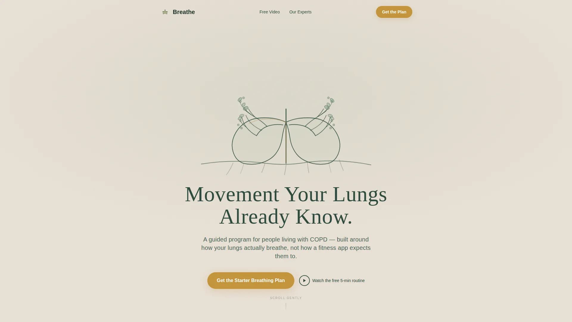 COPD Care Professional Website Template