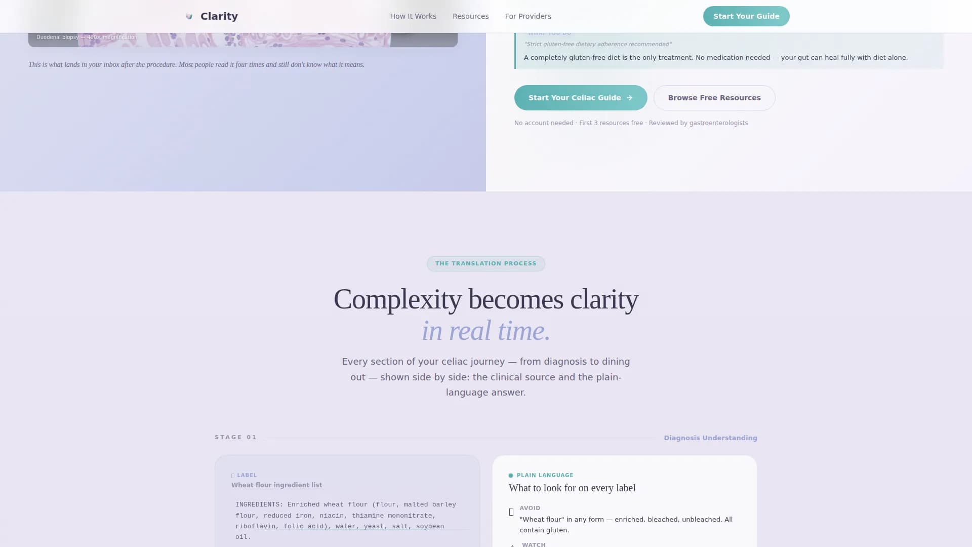 Celiac Disease Care Education Website Template