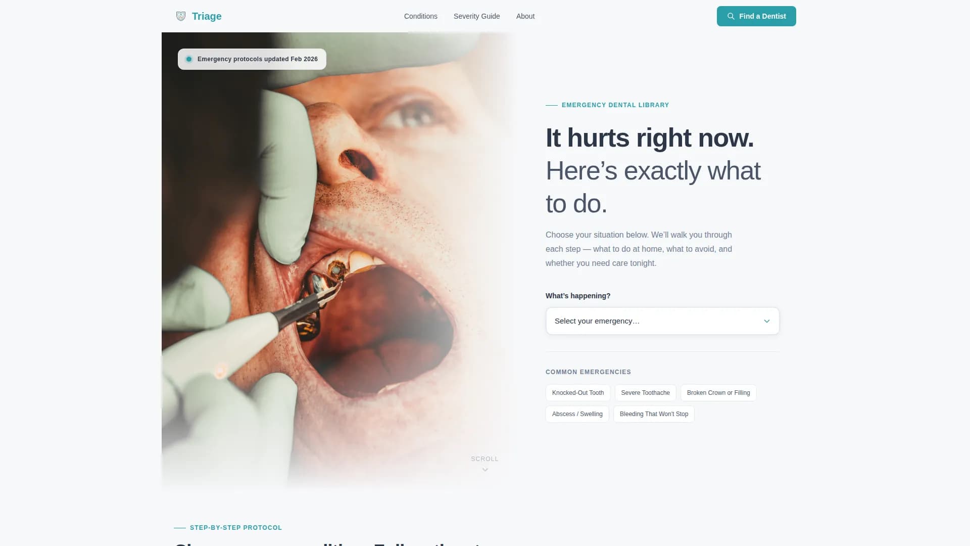 Triage - Emergency Protocol Landing page Template