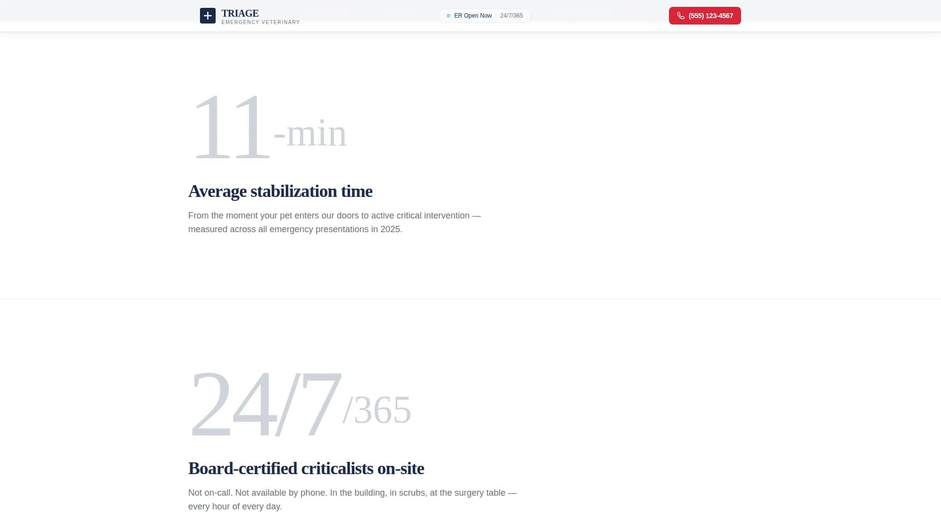 Veterinary & Animal Hospital Professional Website Template