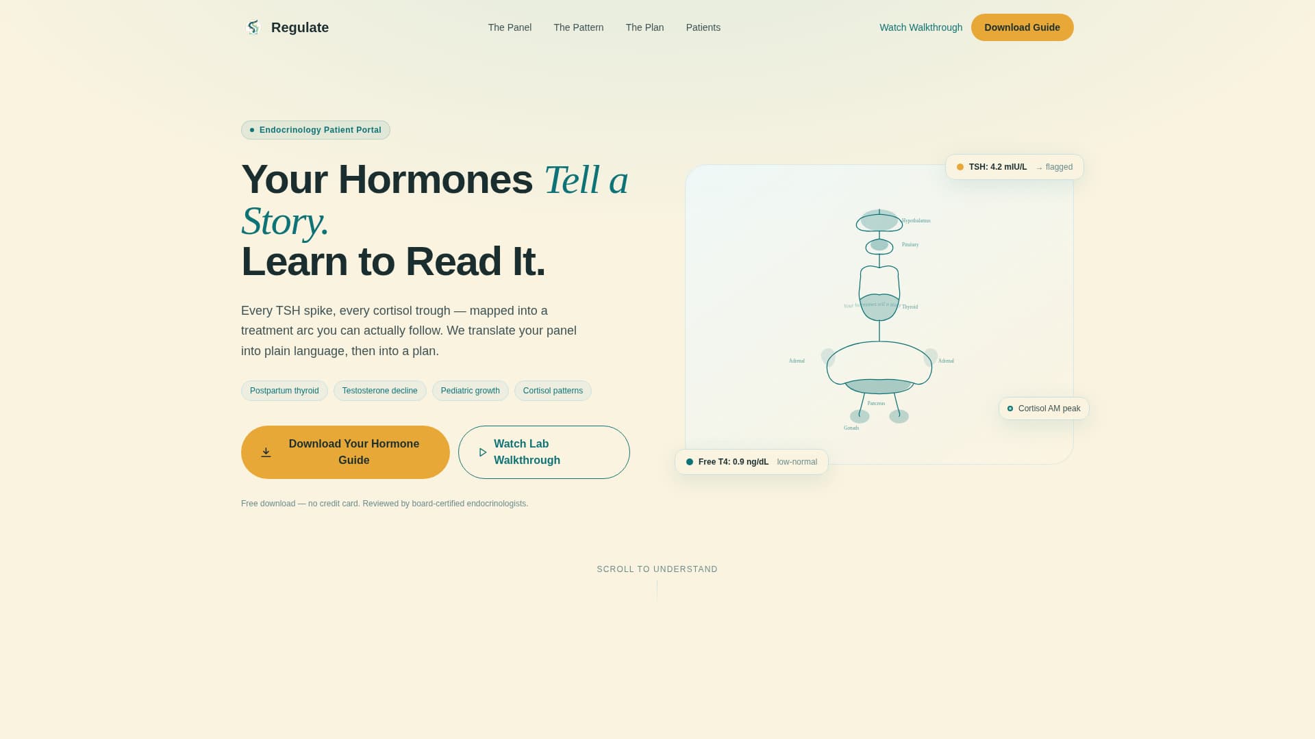 Endocrinologist Professional Website Template