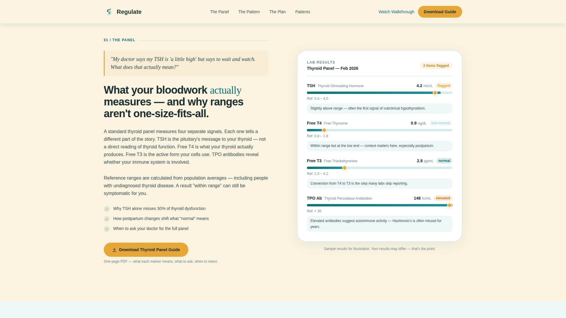 Endocrinologist Professional Website Template