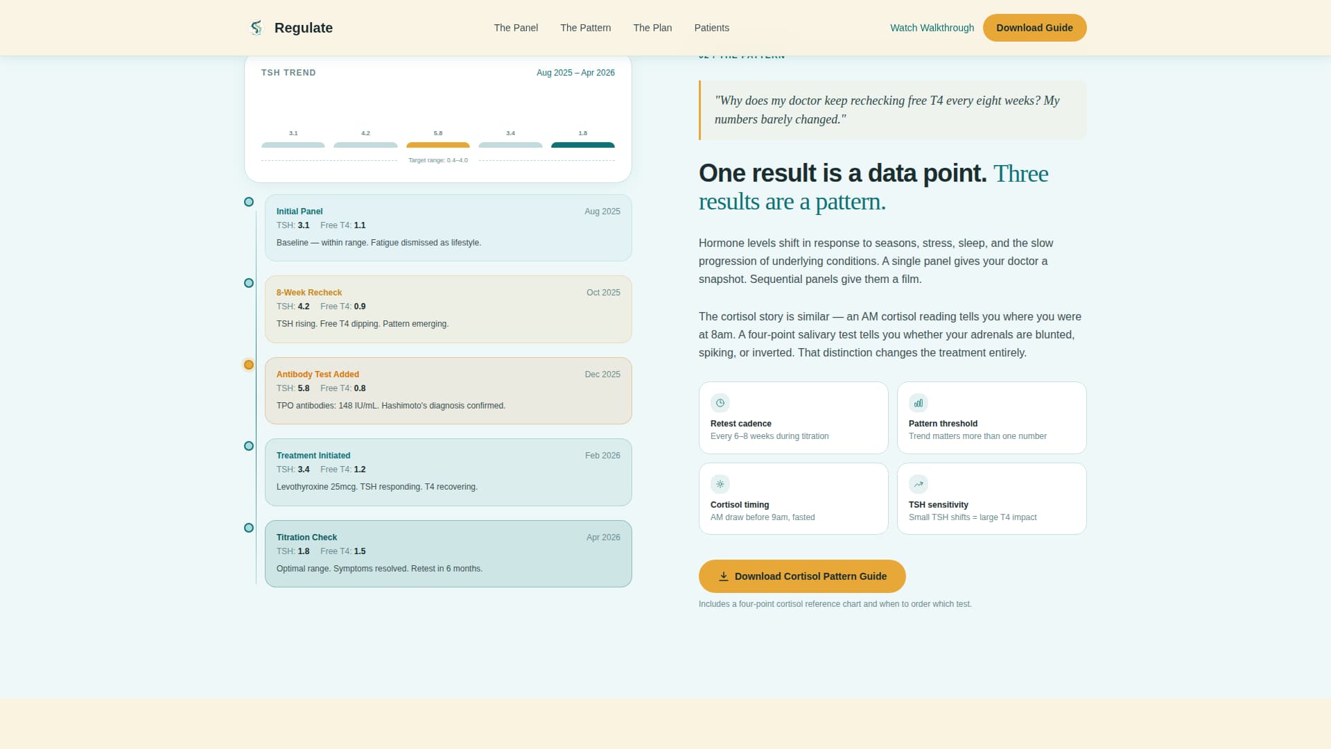Endocrinologist Professional Website Template