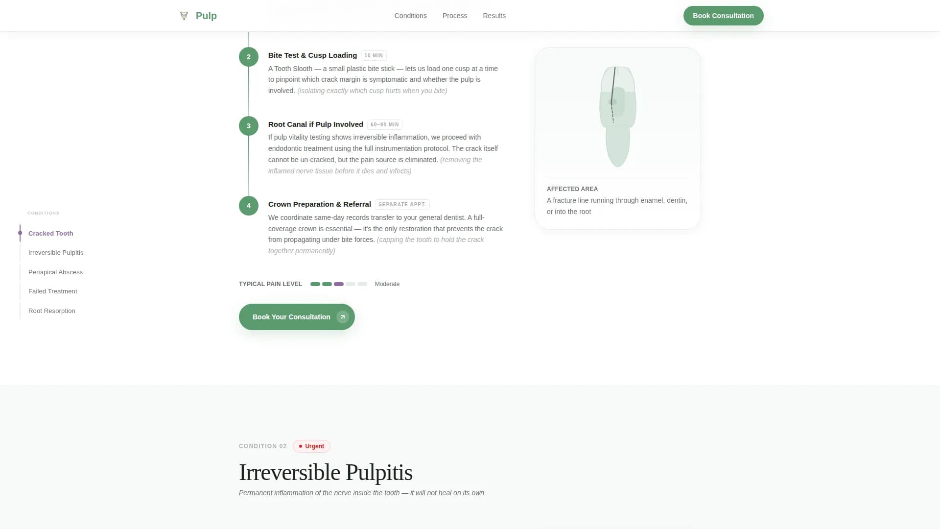 Endodontist Specialist Booking Website Template