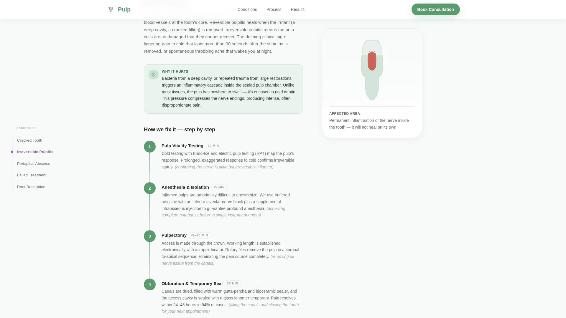 Endodontist Specialist Booking Website Template
