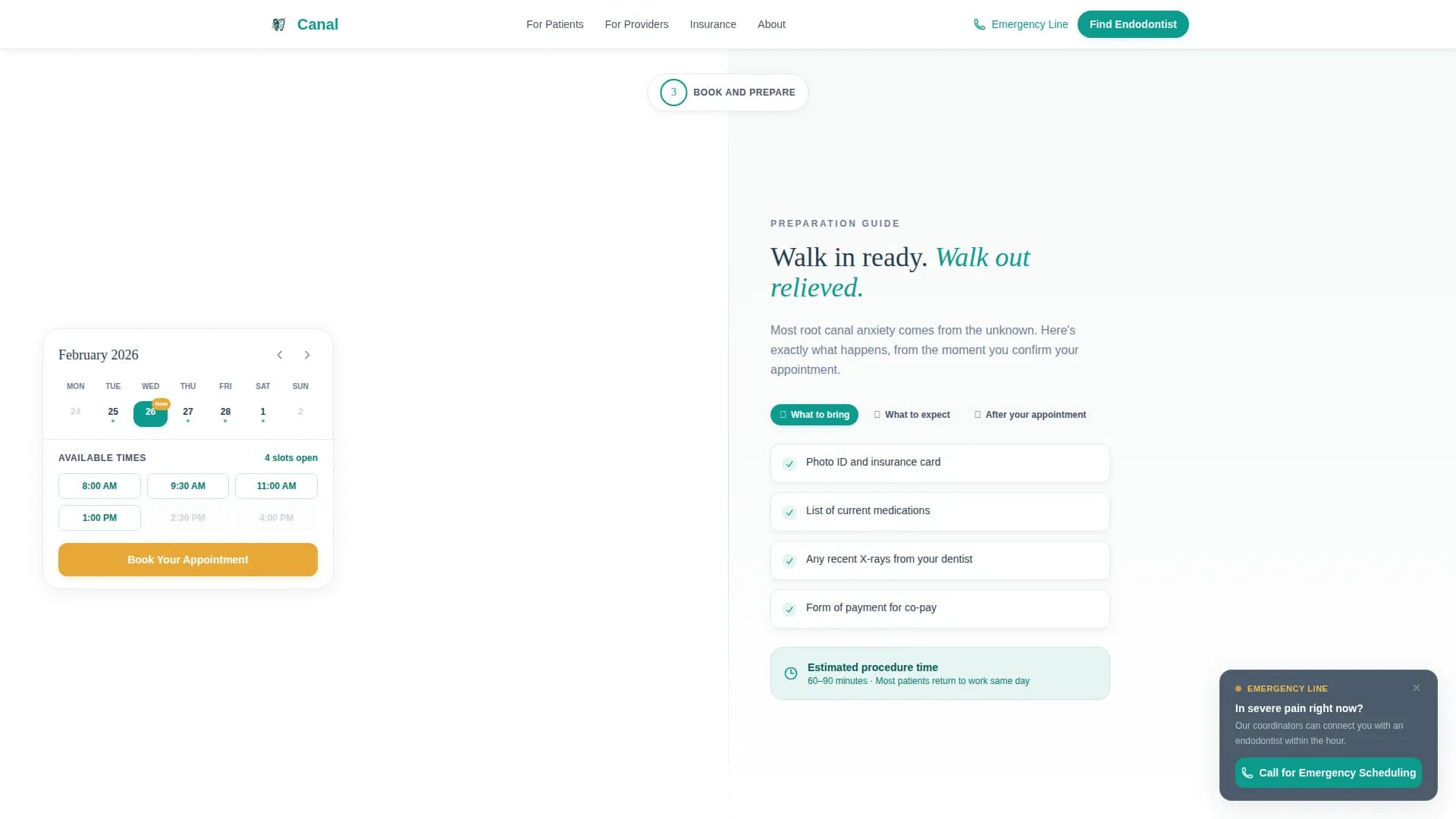Endodontist Advanced Booking Website Template