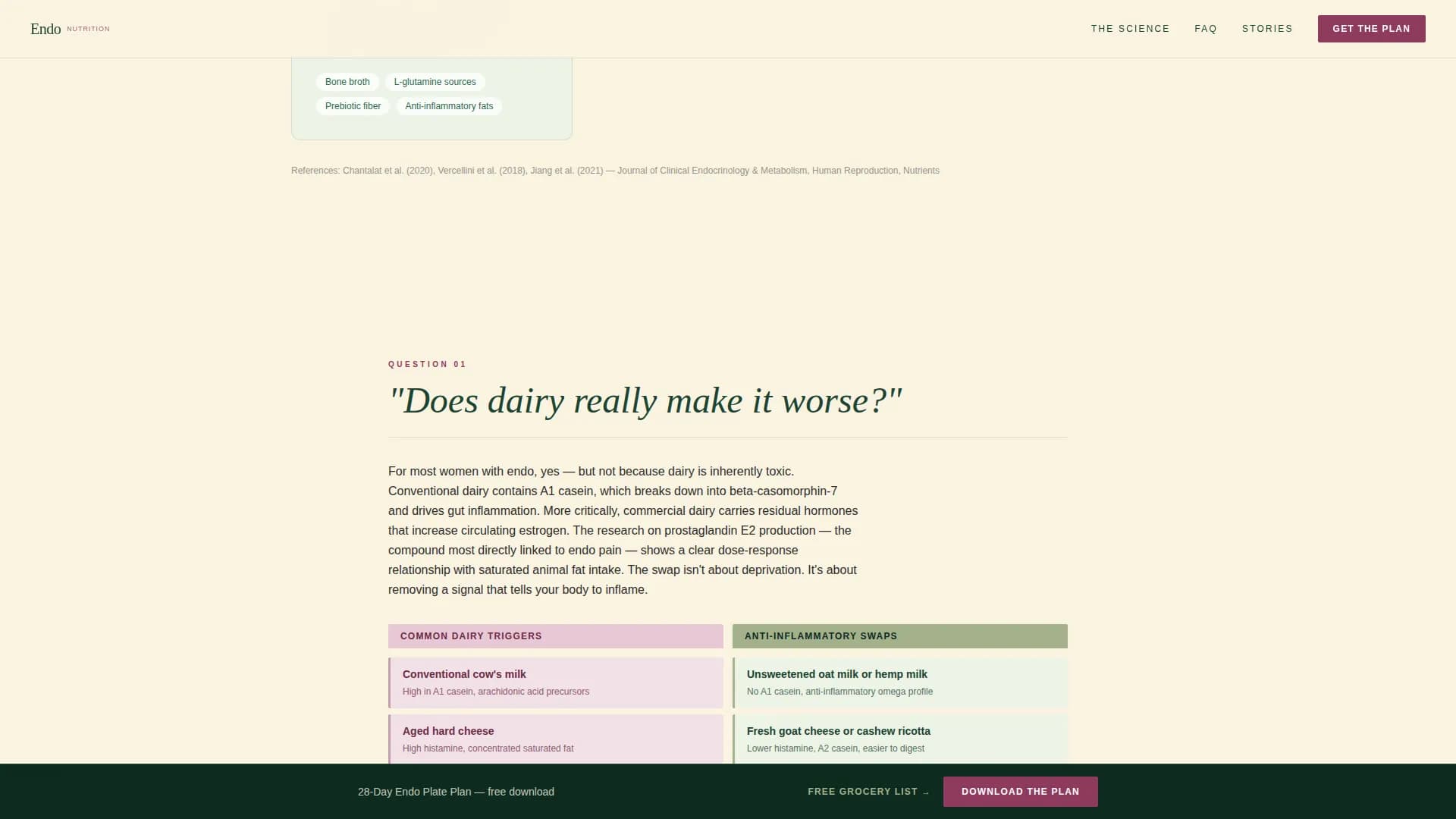Endometriosis Care FAQ Website Template