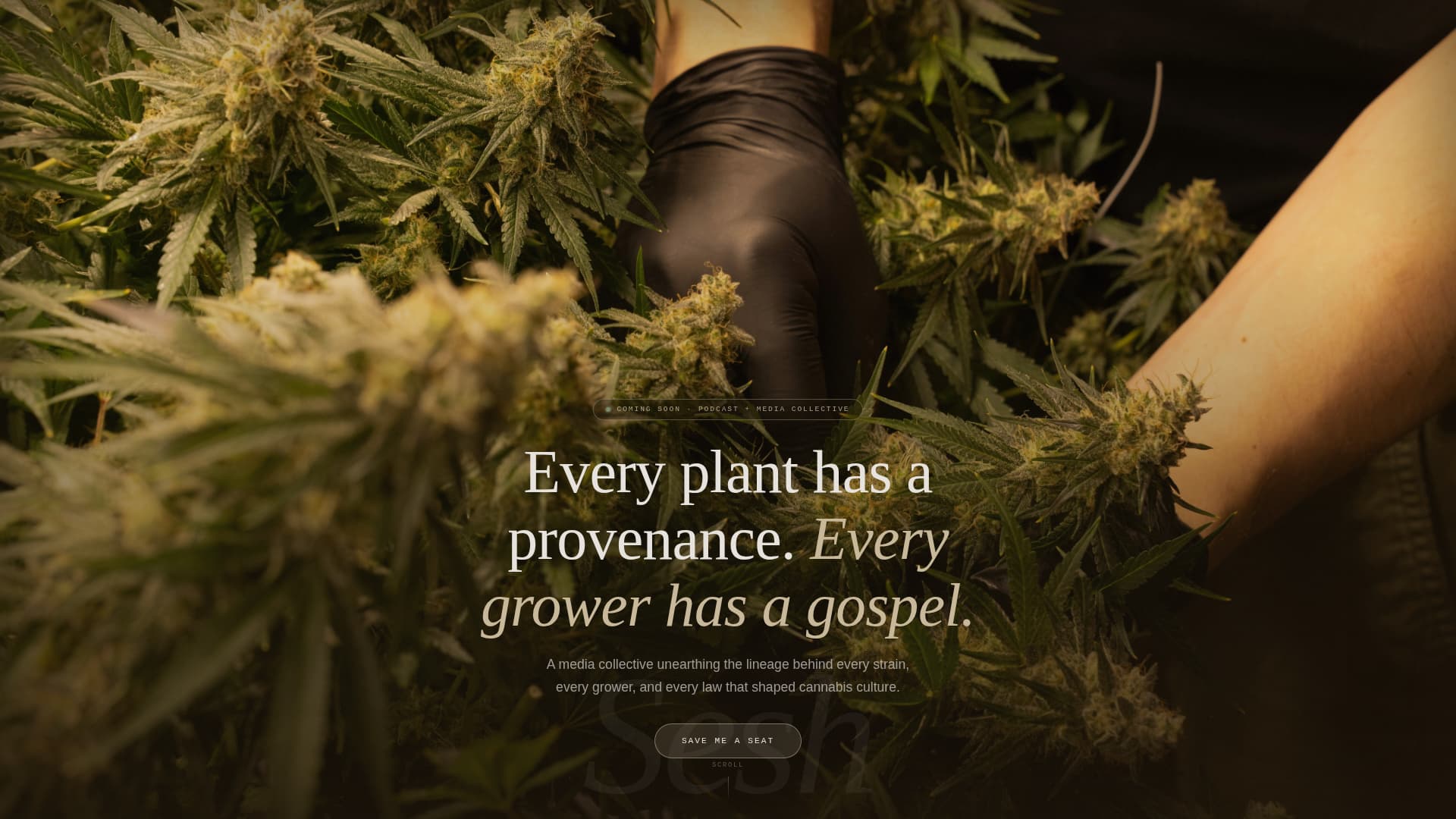 Cannabis Blog & Media Pre-Launch Website Template