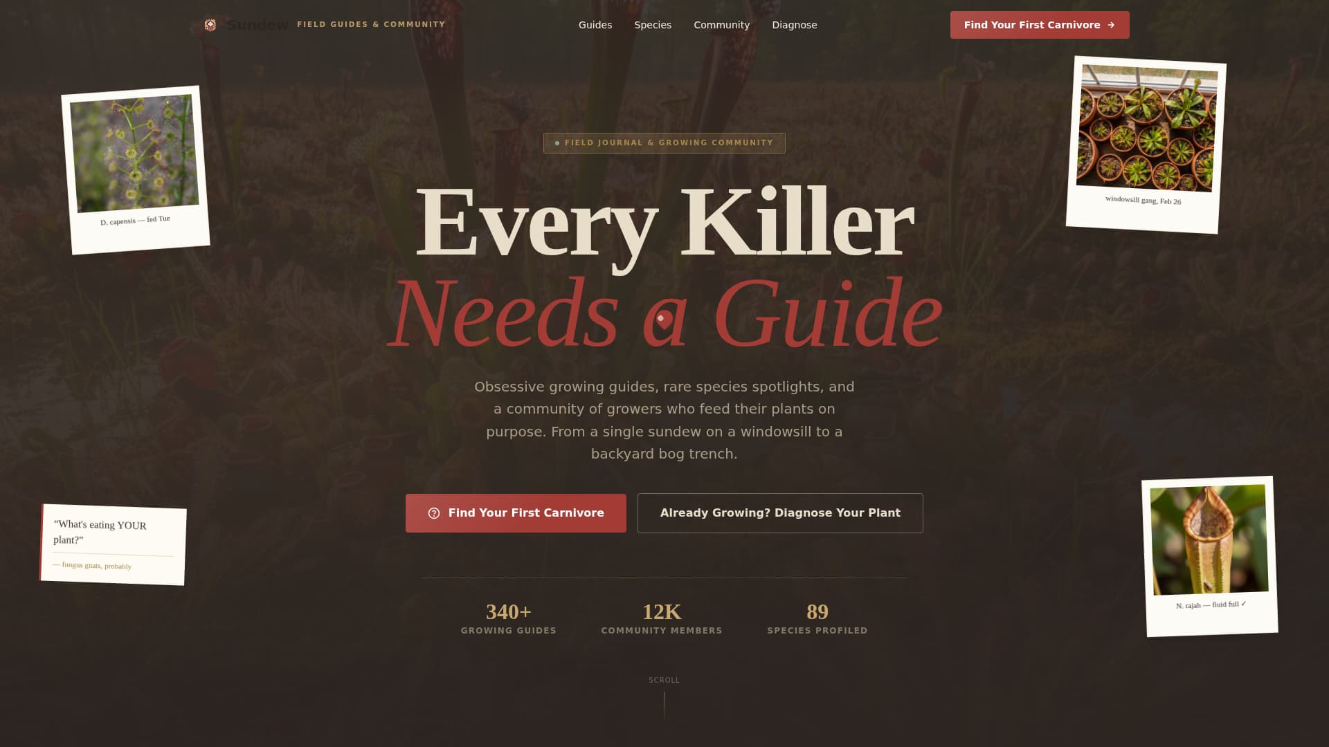 Hobby & Passion Content Online Blog Website Template