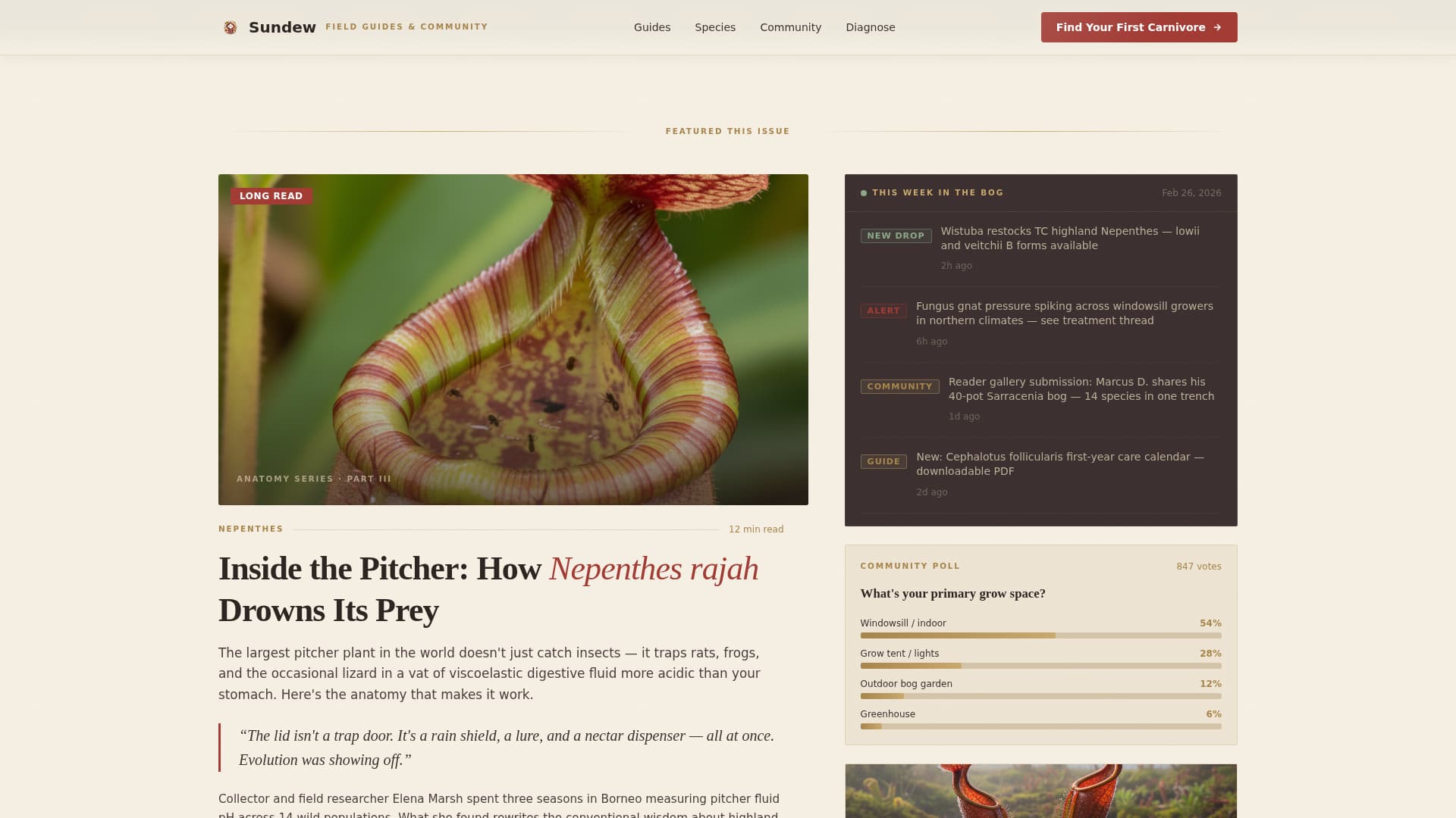 Hobby & Passion Content Online Blog Website Template
