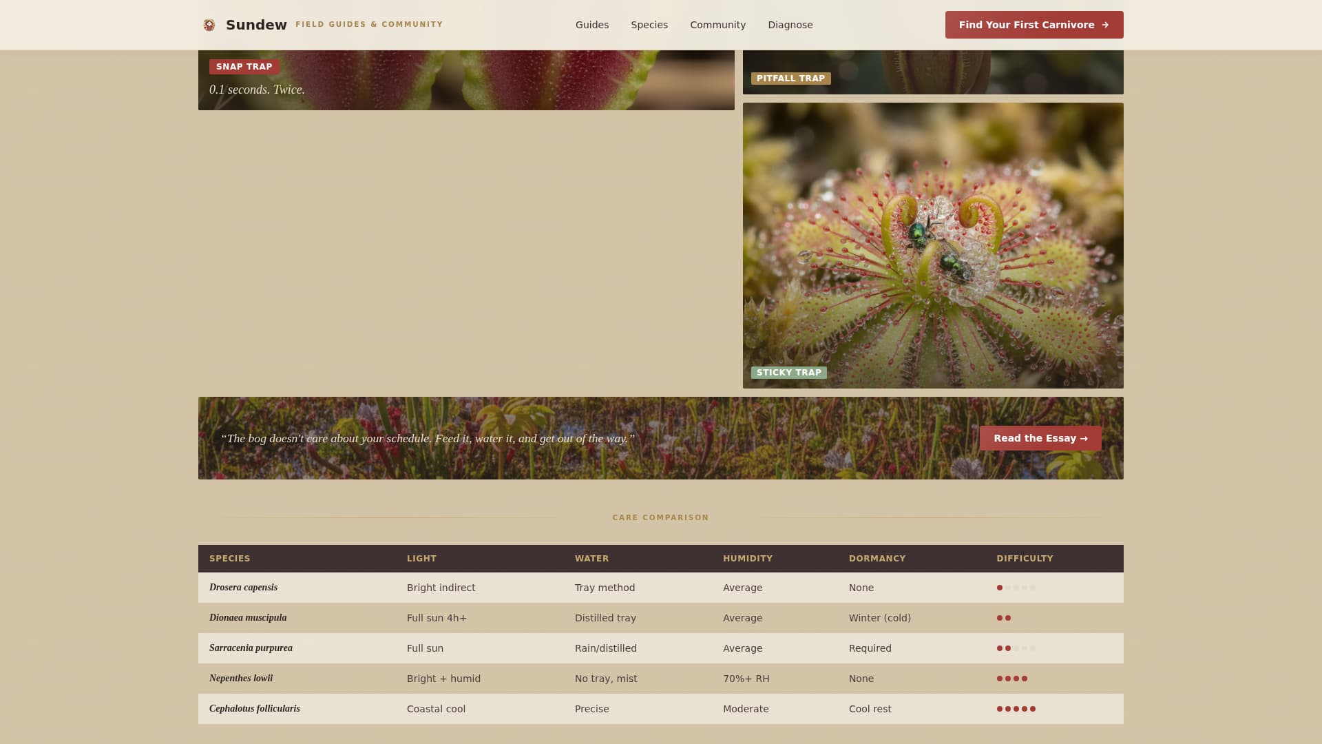 Hobby & Passion Content Online Blog Website Template