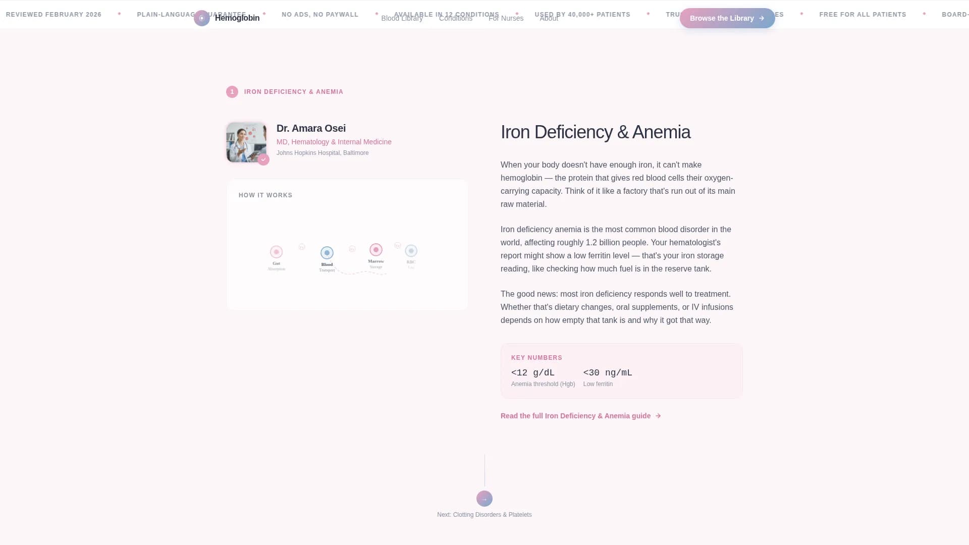 Clarity - Hematology Education Landing Page Template