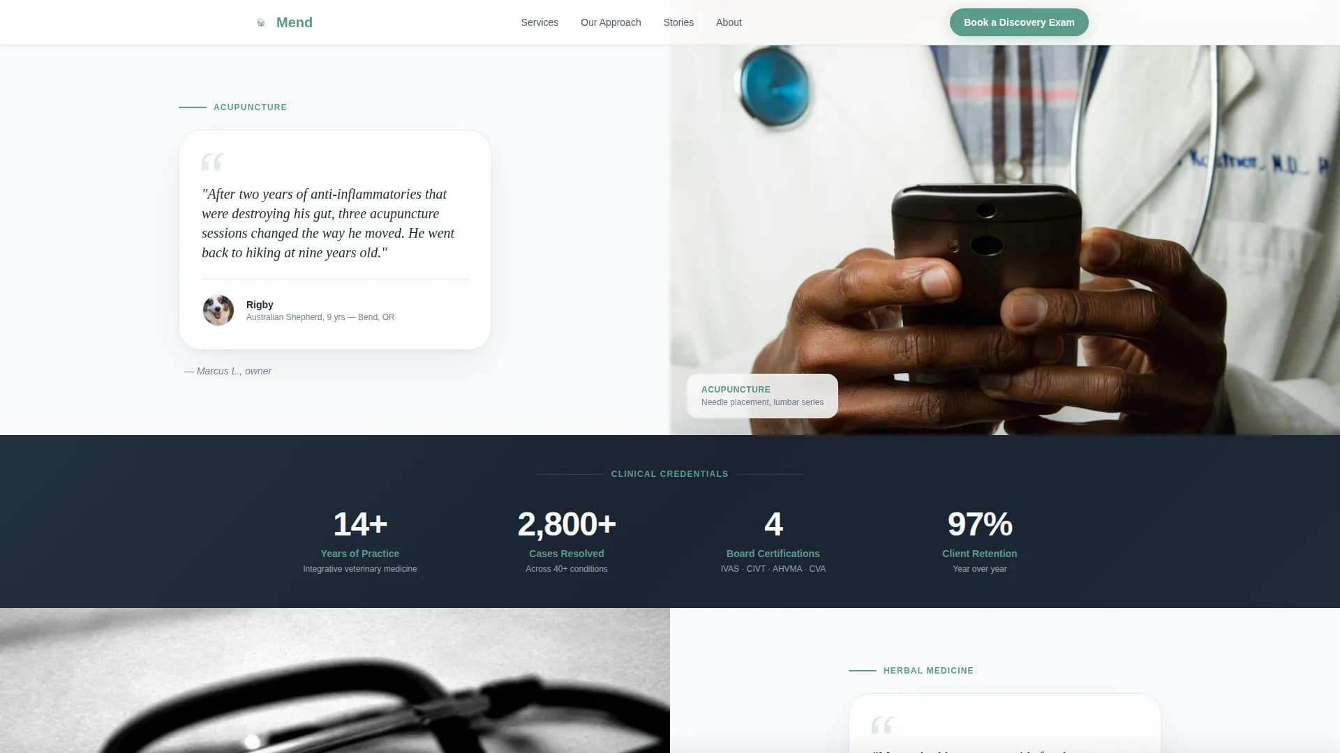 Mend - Holistic Veterinary Landing Page Template