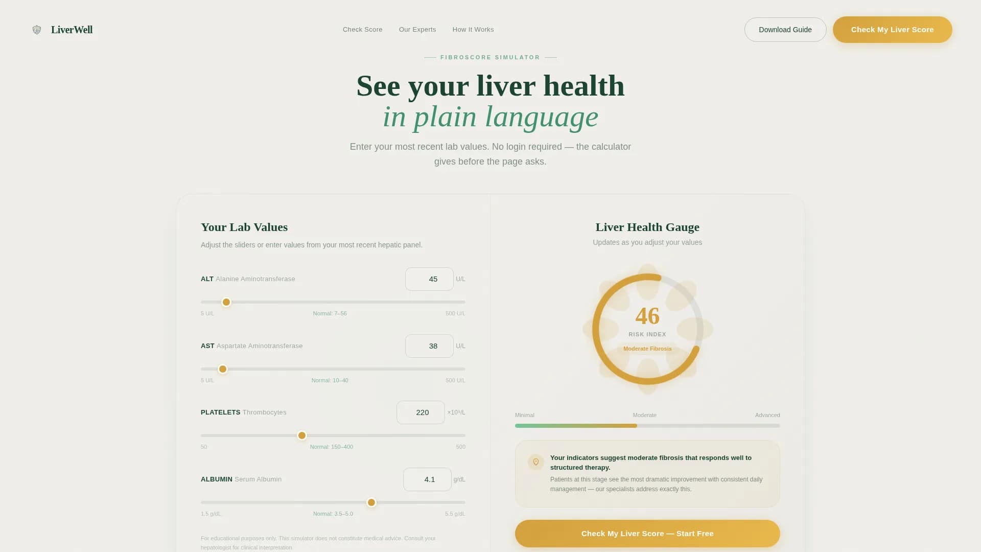 Liver Disease Care Cost Calculator Website Template
