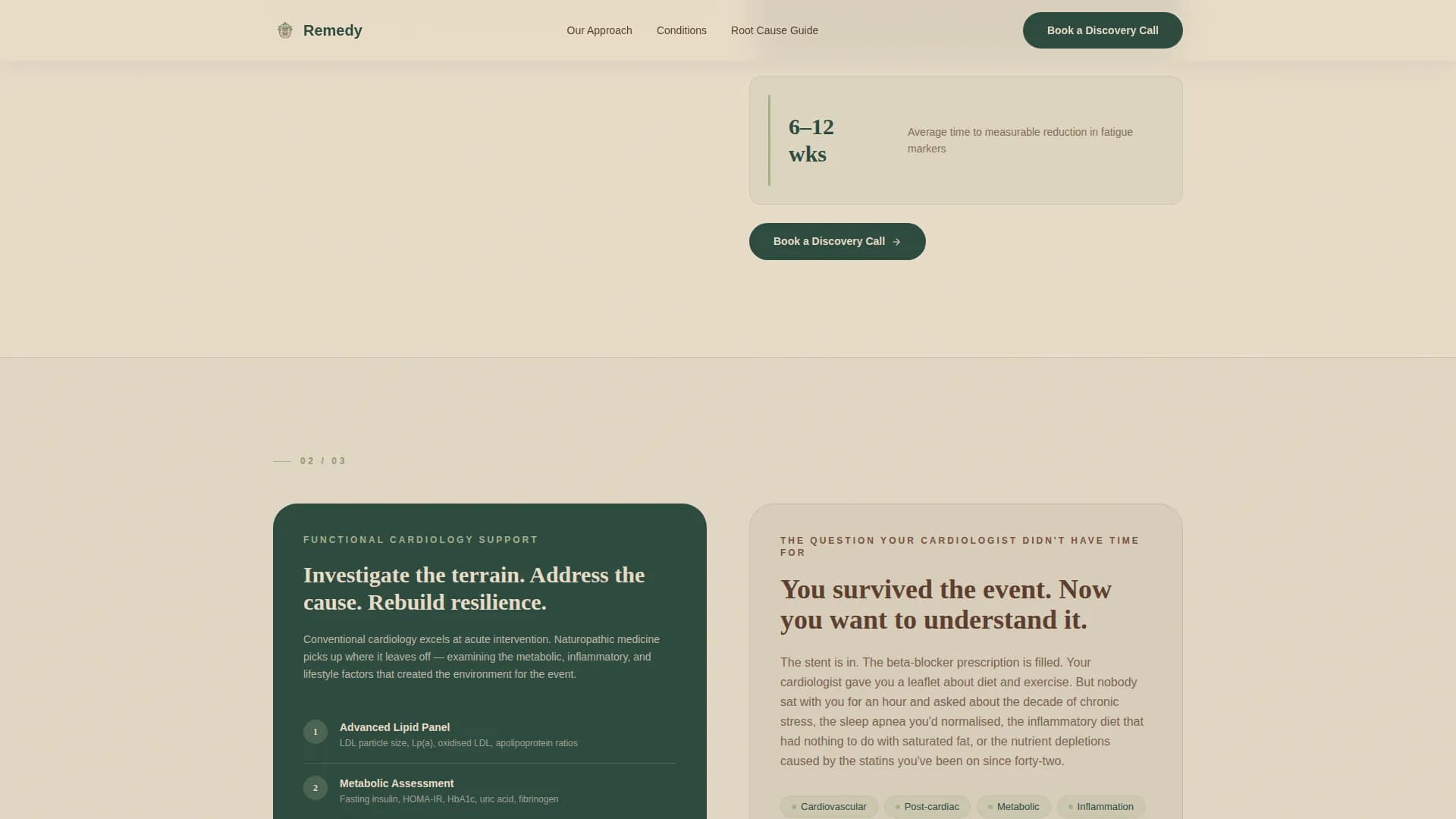 Ayurveda & Alternative Medicine Professional Website Template