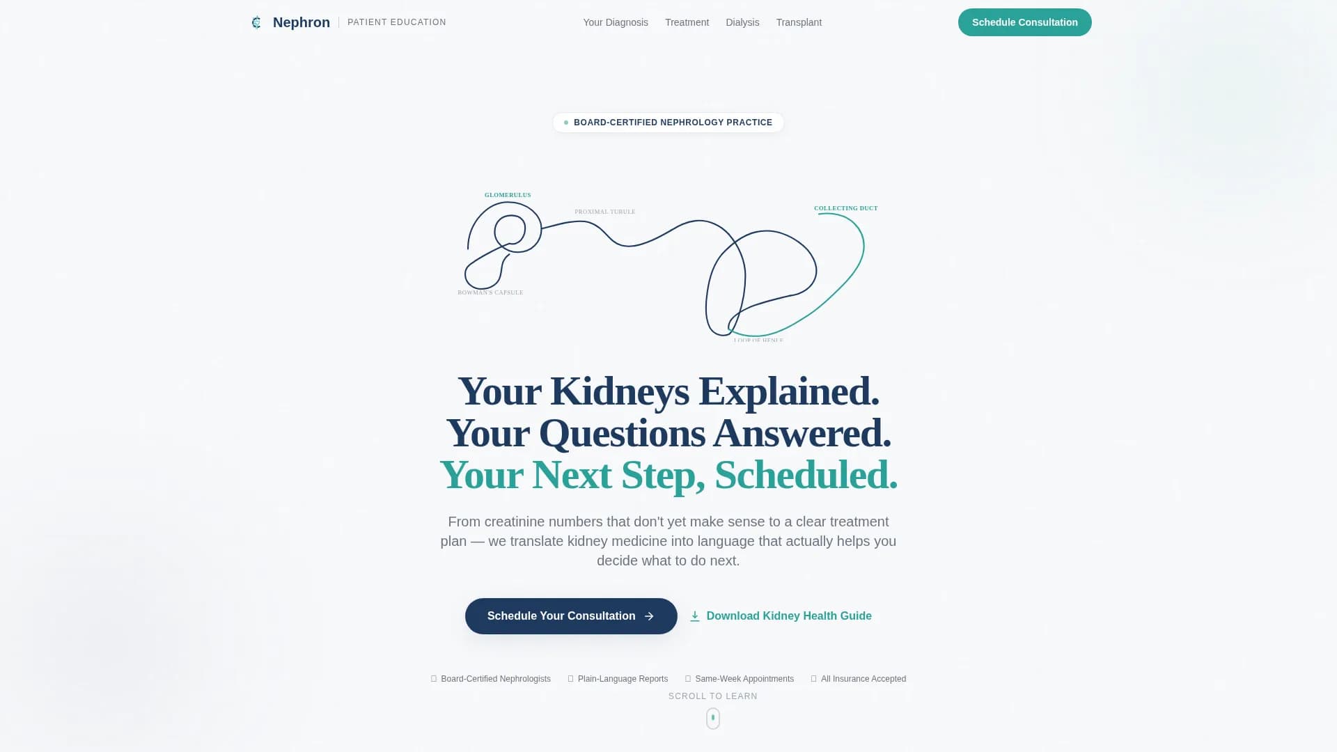 Nephrologist Specialist Booking Website Template