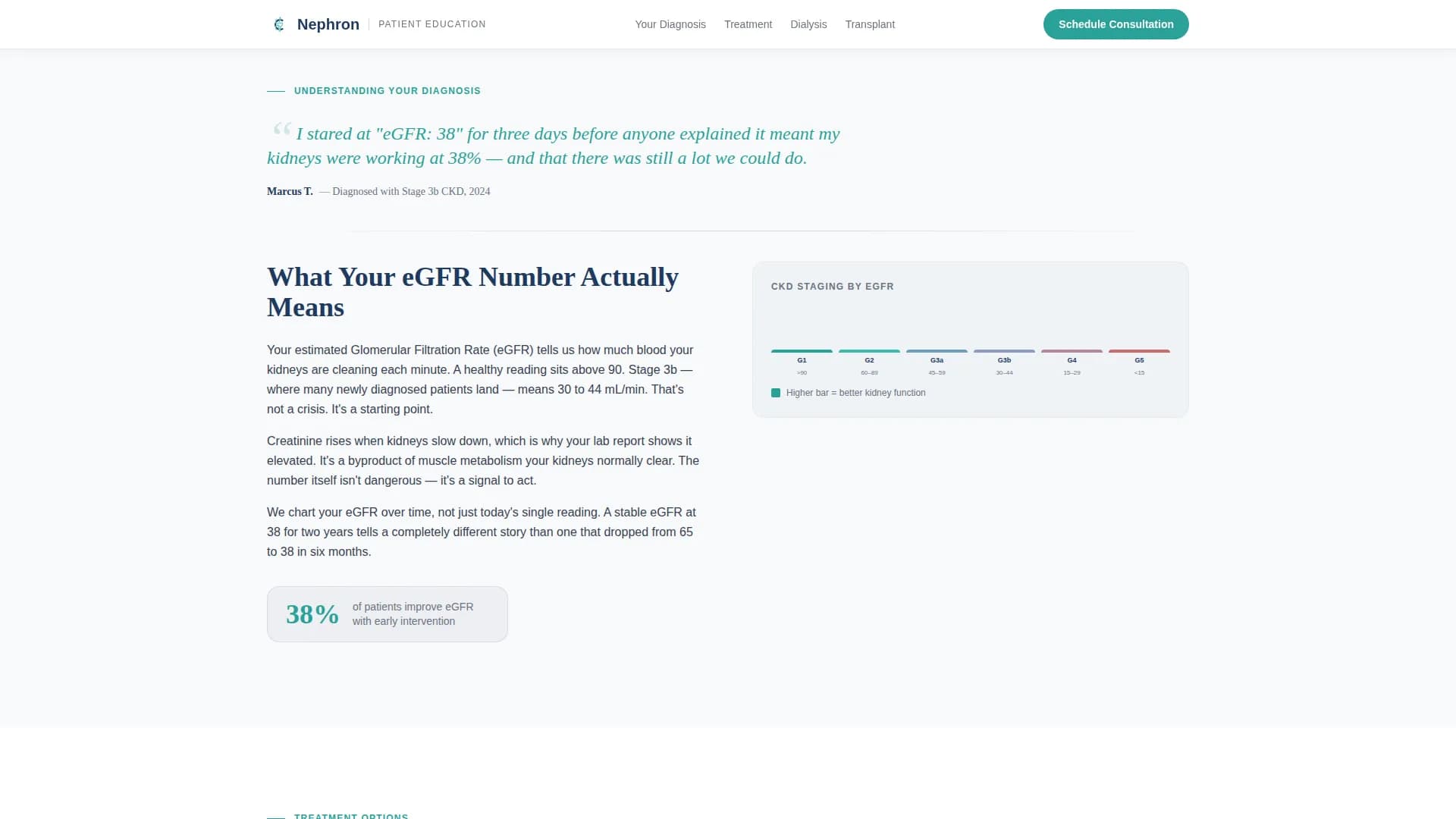 Nephrologist Specialist Booking Website Template