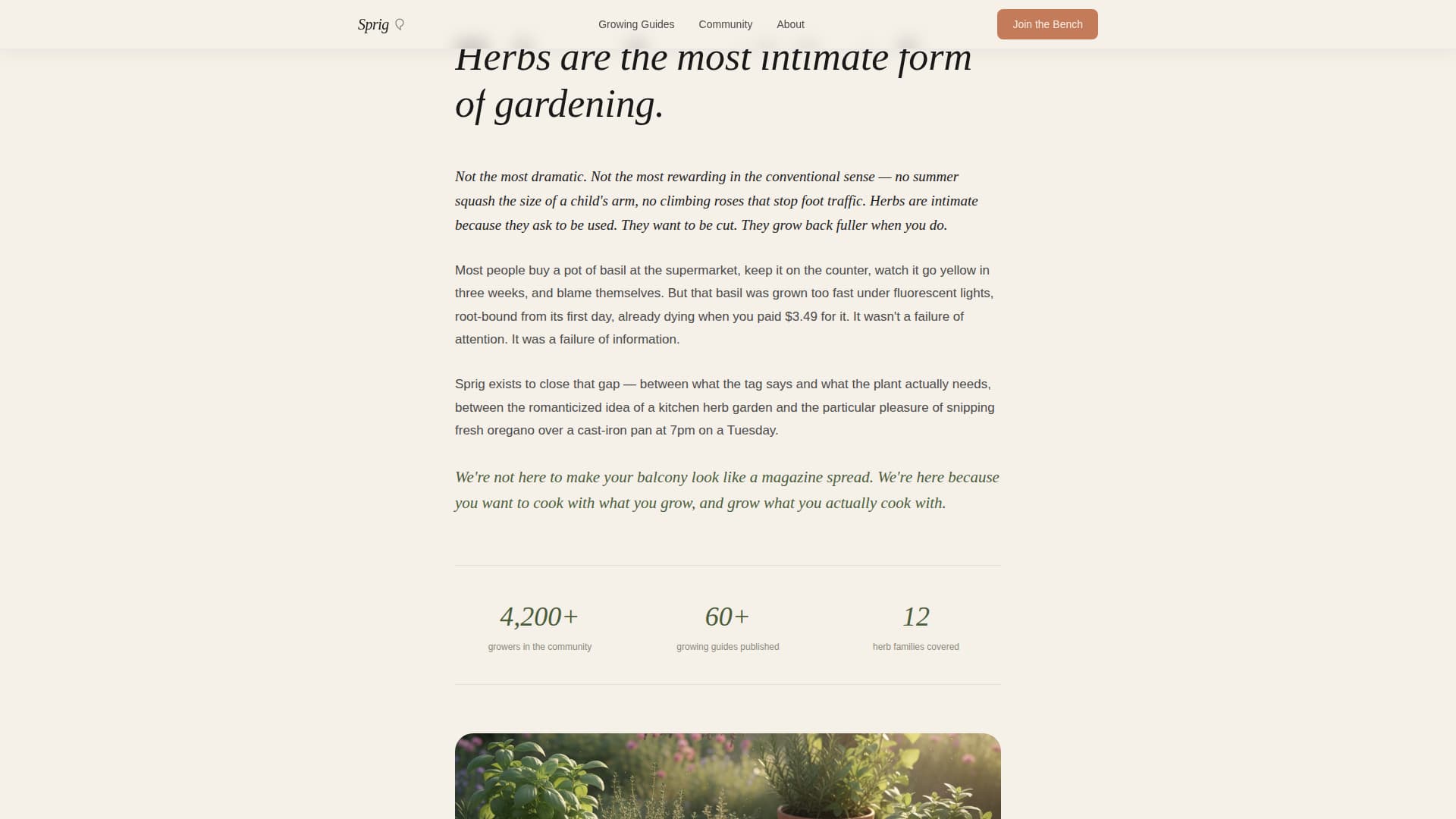 Sprig - Artisan Herbgarden Landing Page Template