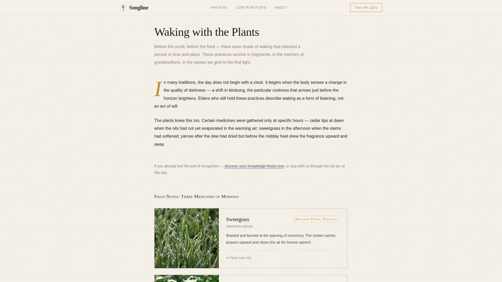 Songline - Ancestral Wisdom Landing Page Template