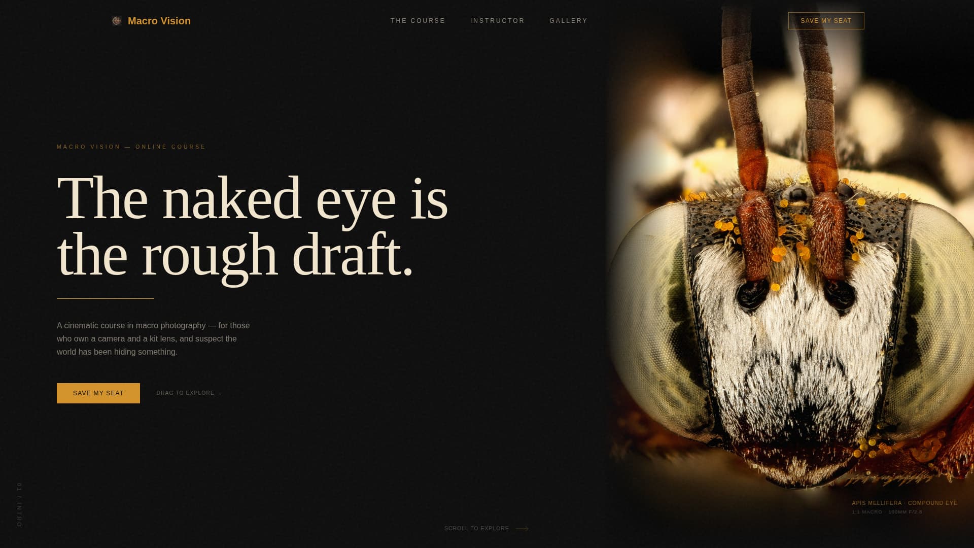 Macrovision - Cinematic Photography Landing Page Template