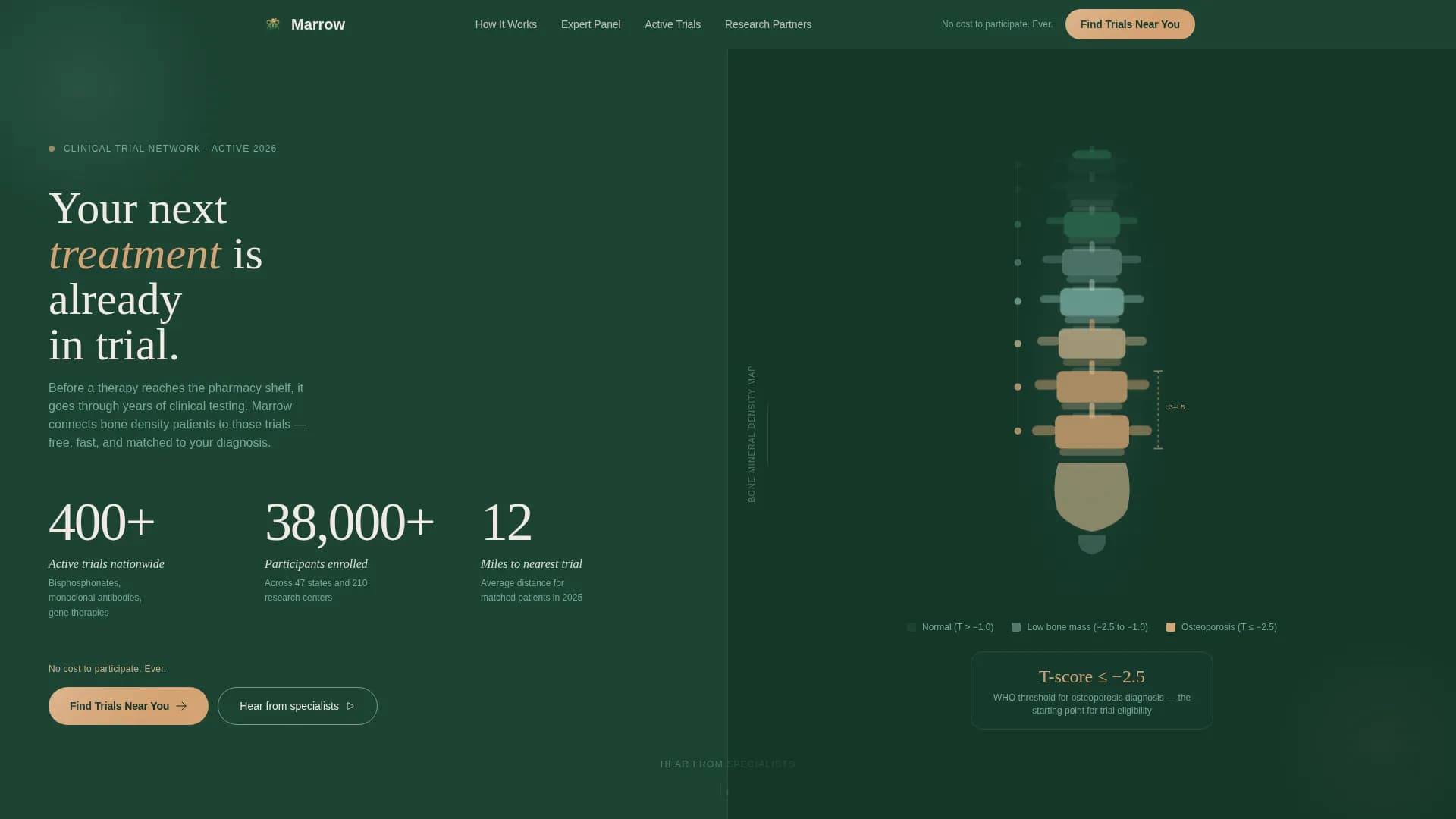 Osteoporosis Care Professional Website Template