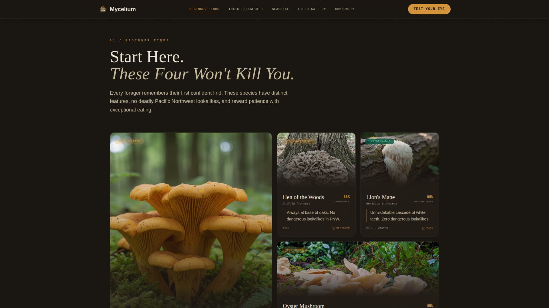 Mycelium - Immersive Foraging Landing Page Template