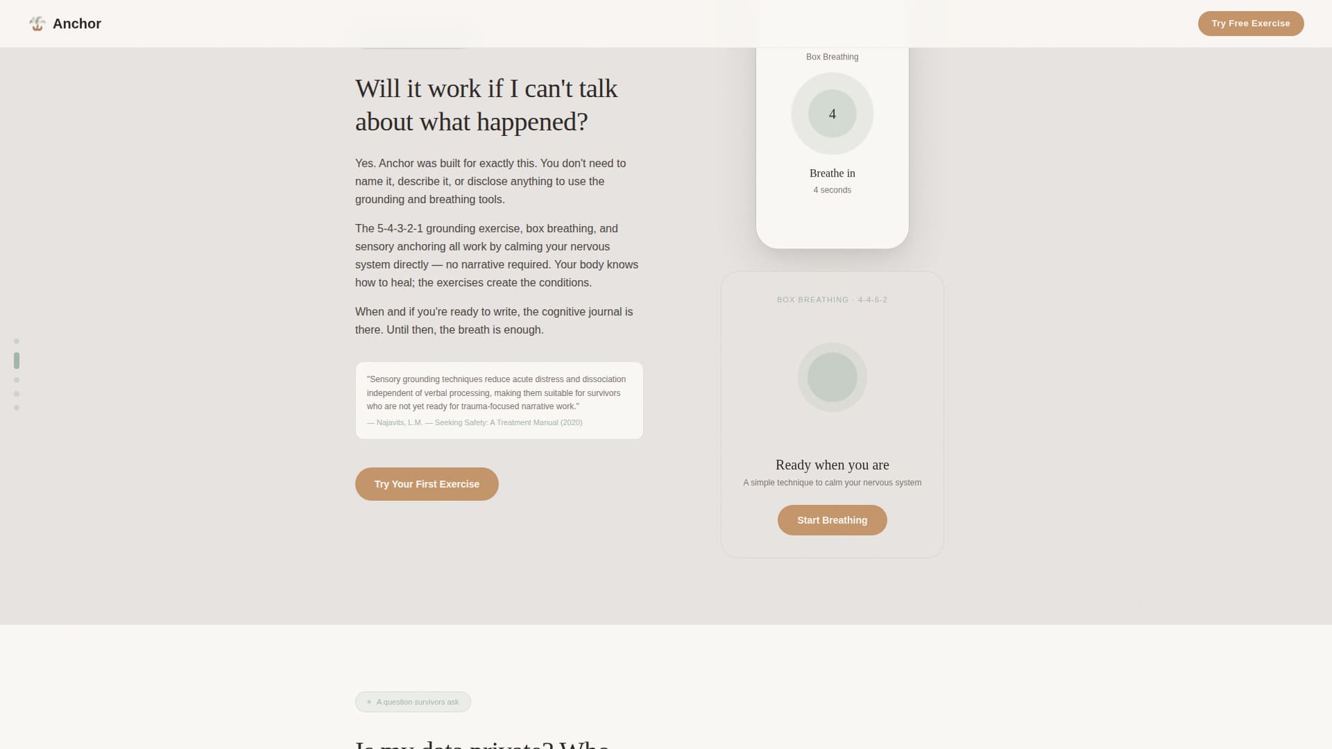 Anchor - Compassionate PTSD Landing Page Template