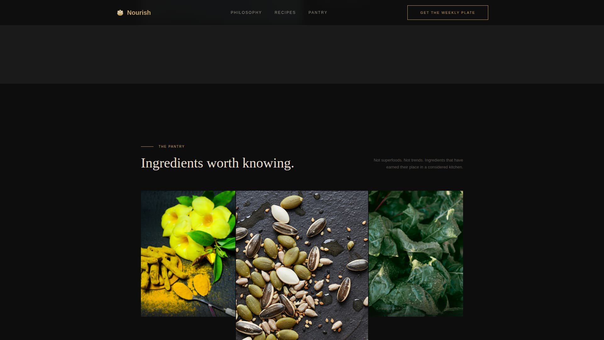 Nourish - Elegant Nutrition Landing Page Template
