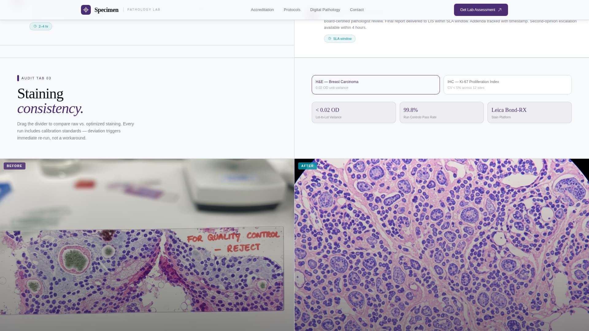 Specimen - Precise Pathology Landing Page Template