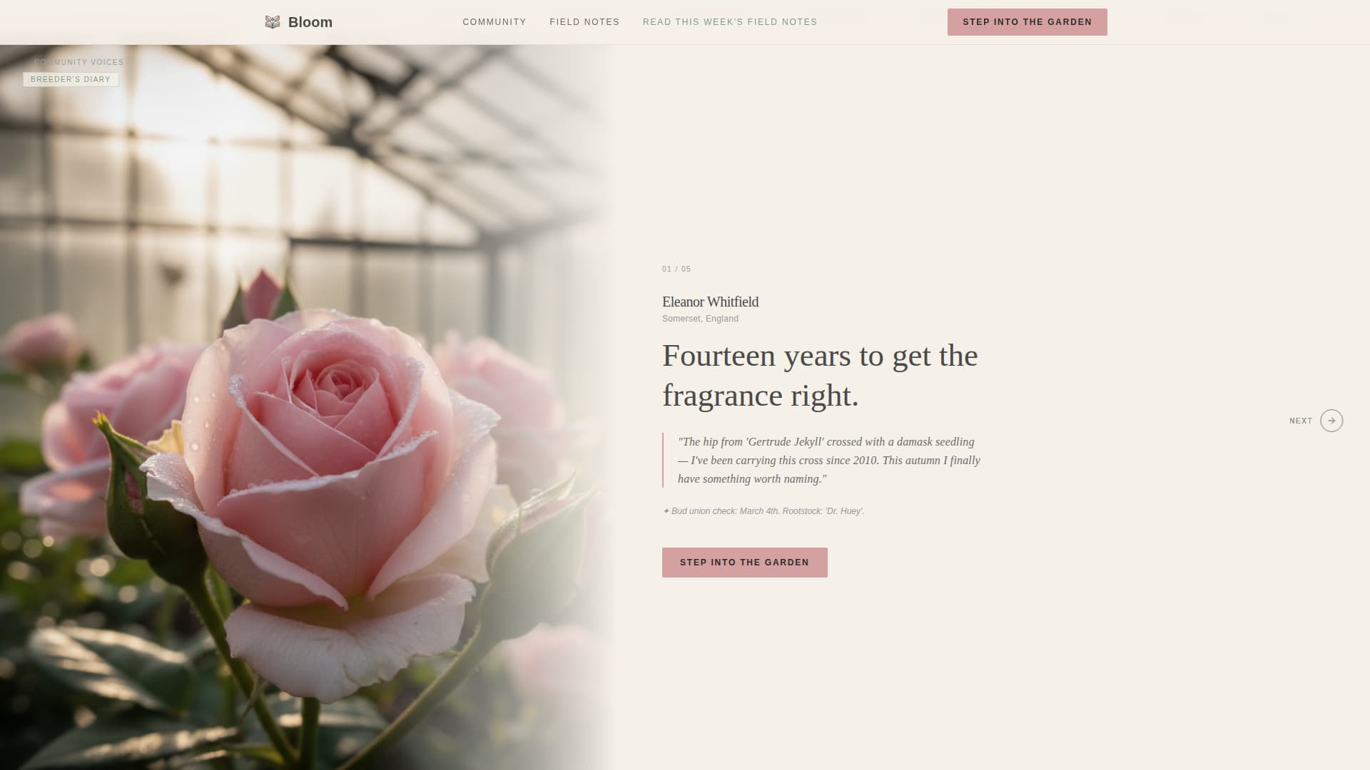 Hobby & Passion Content Residential Blog Website Template