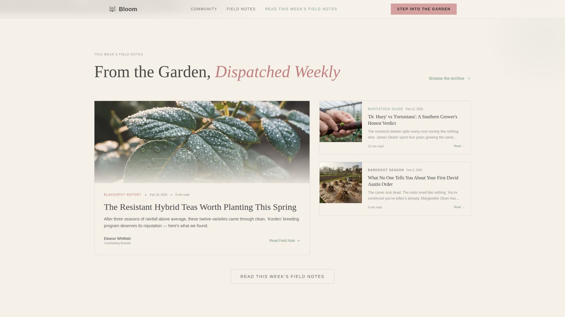 Hobby & Passion Content Residential Blog Website Template