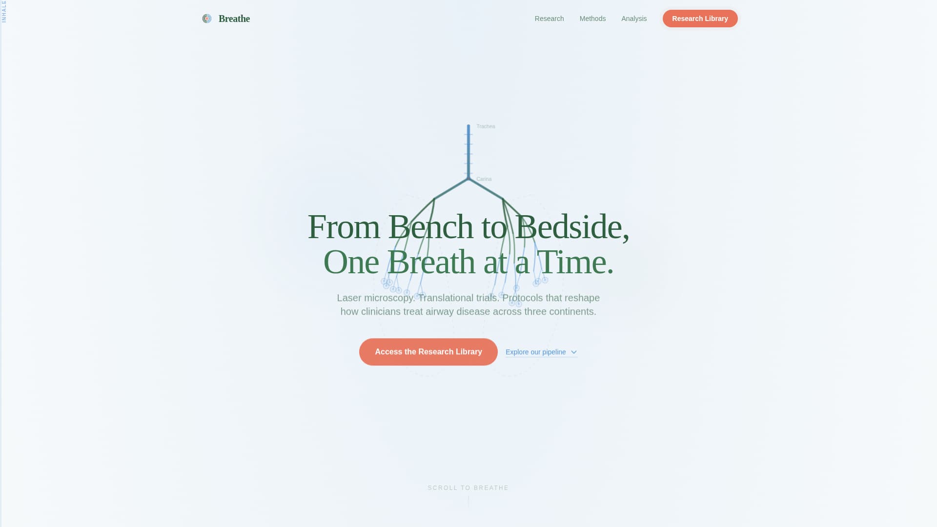 Pulmonology Medicine Specialist Professional Website Template