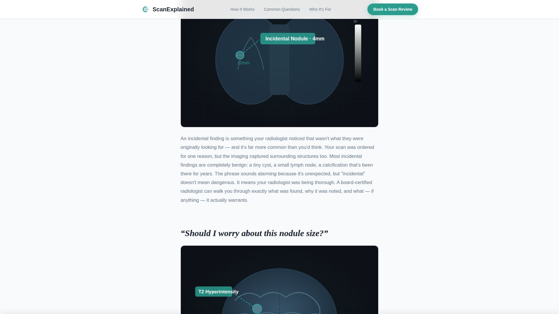 Radiologist Complete Booking Website Template