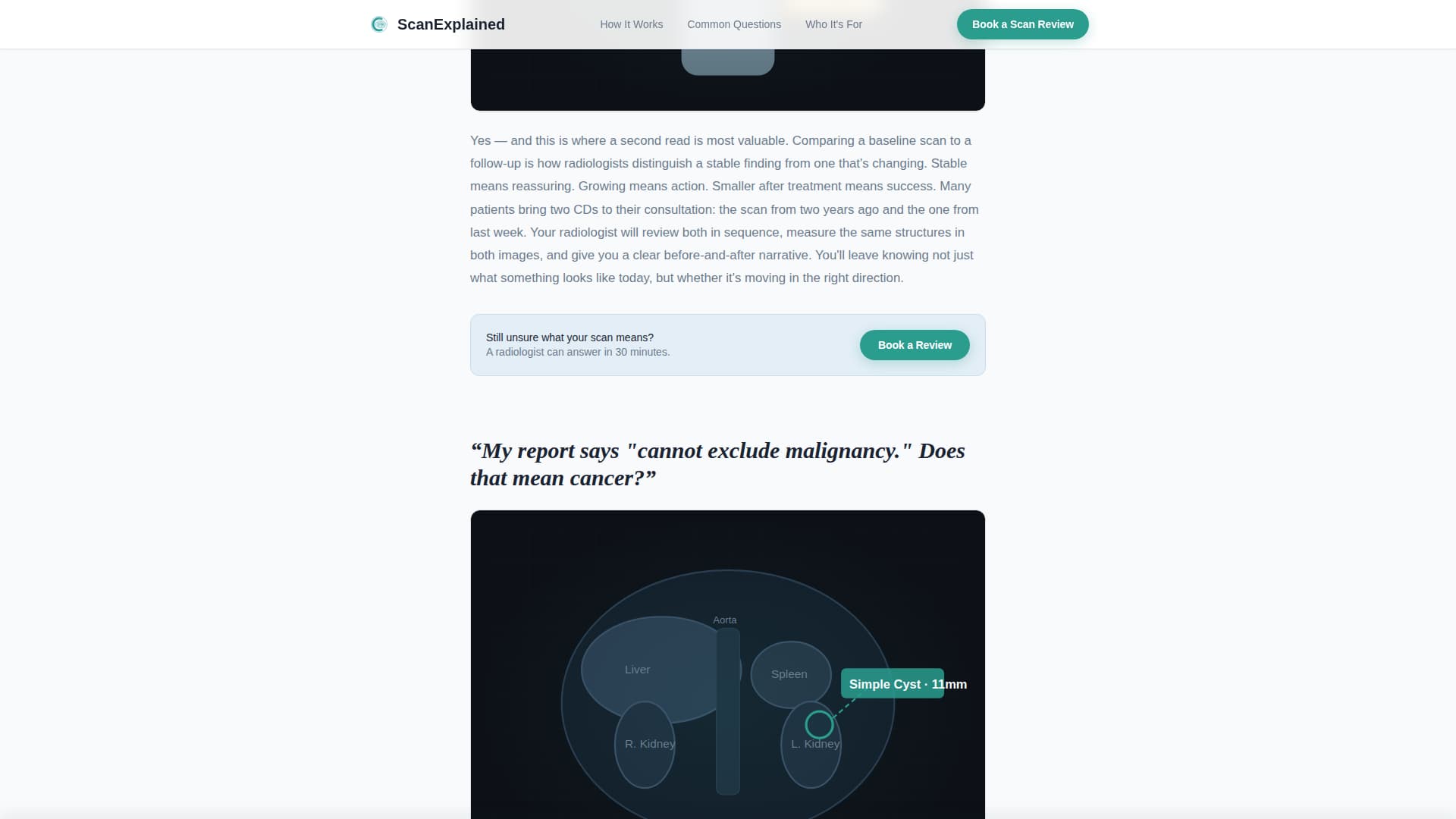 Radiologist Complete Booking Website Template