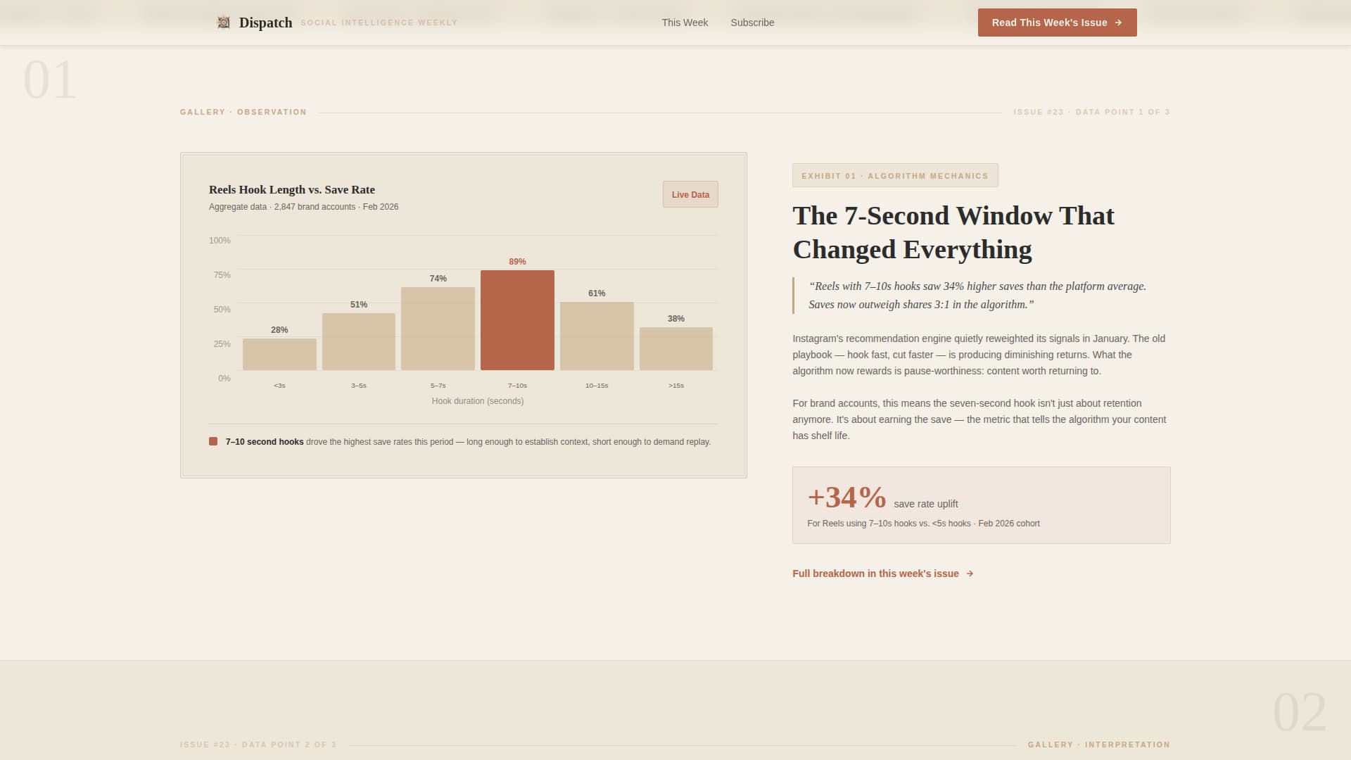 Social Media Marketing Newsletter Portfolio Website Template