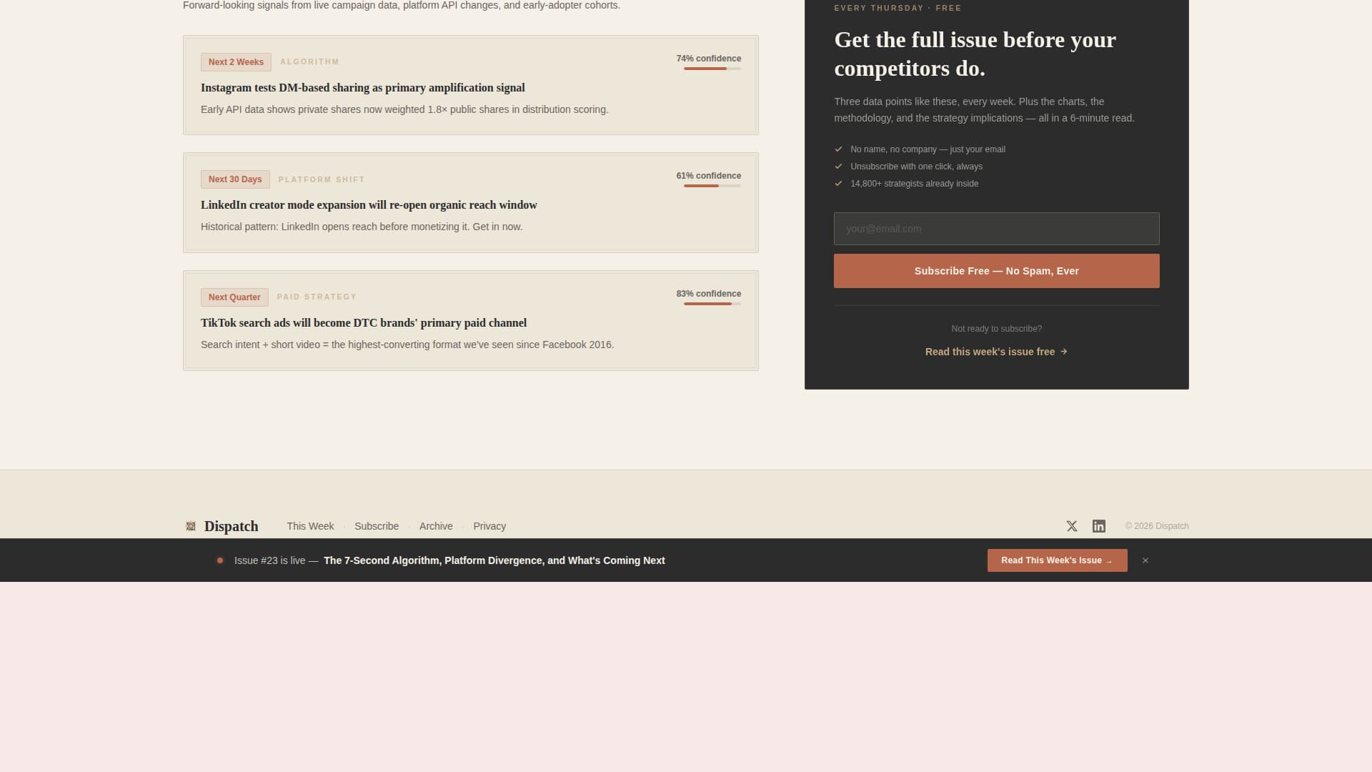 Social Media Marketing Newsletter Portfolio Website Template