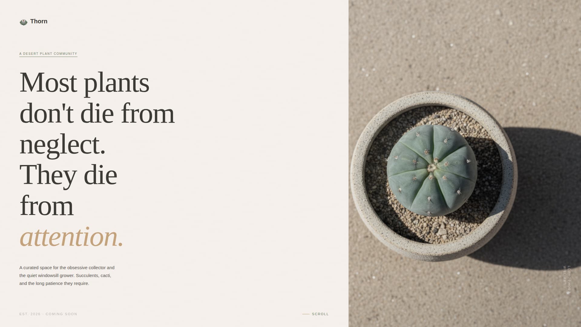 Hobby & Passion Content Online Pre-Launch Website Template