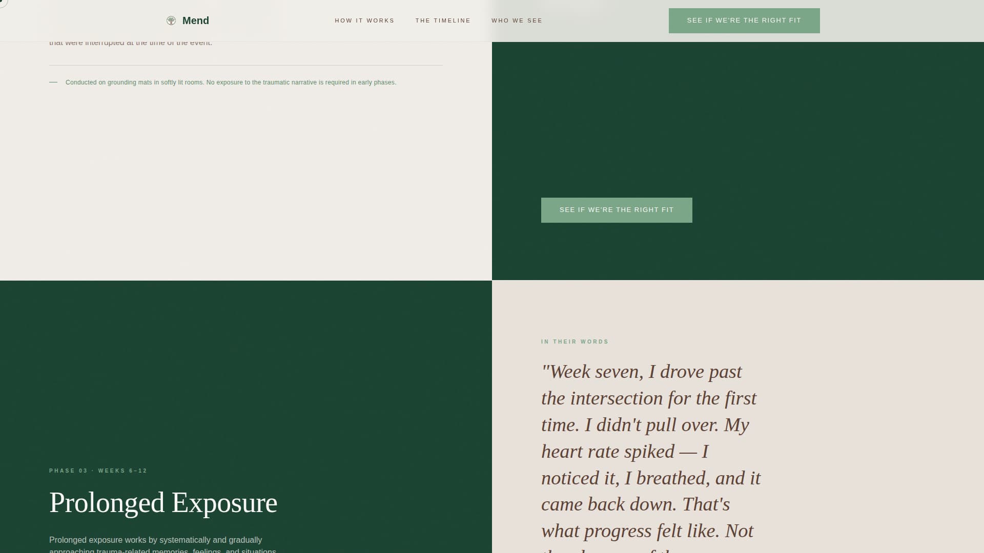 Mend - Restorative Traumacenter Landing Page Template