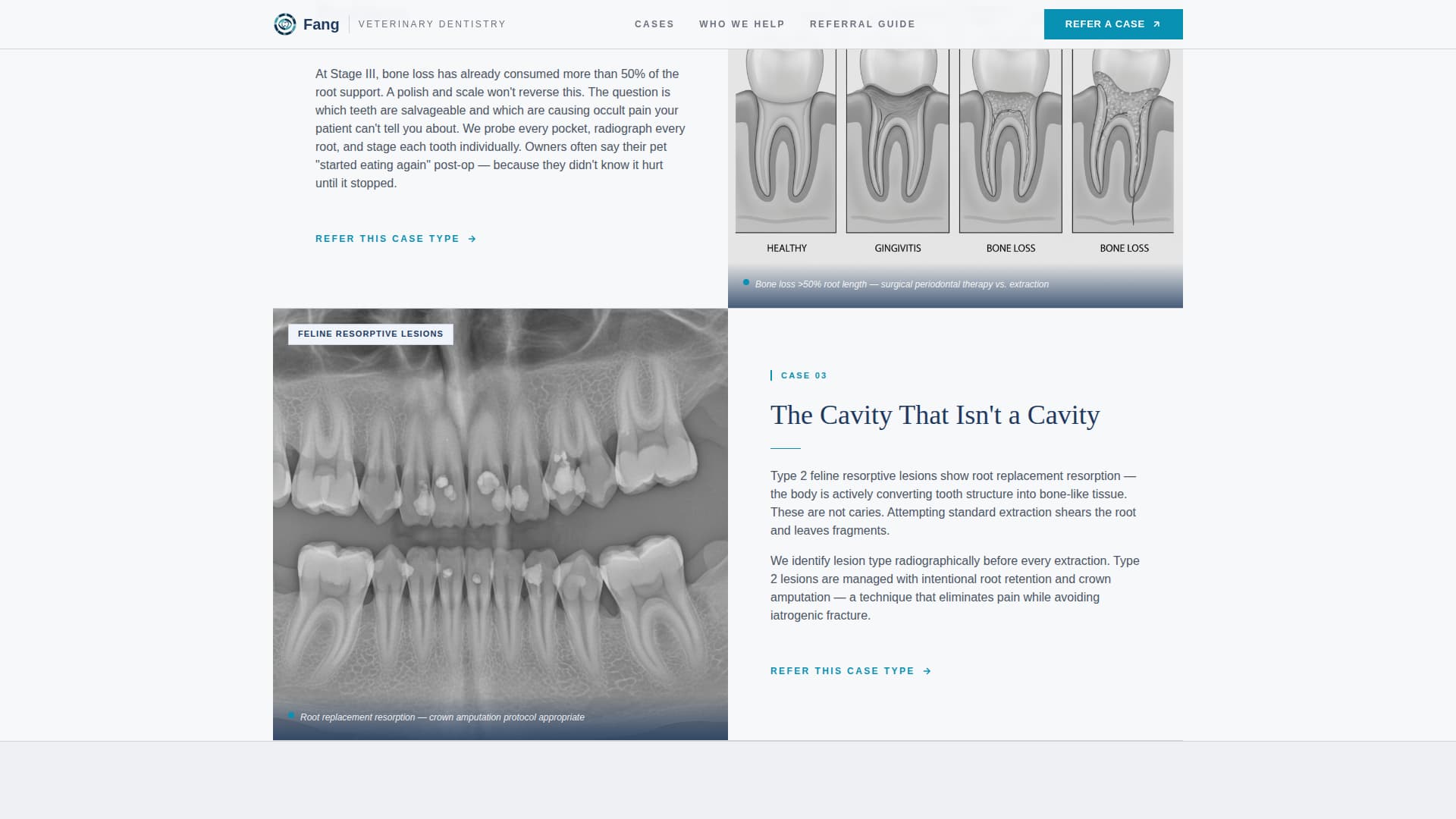 Fang - Precision Veterinary Landing Page Template