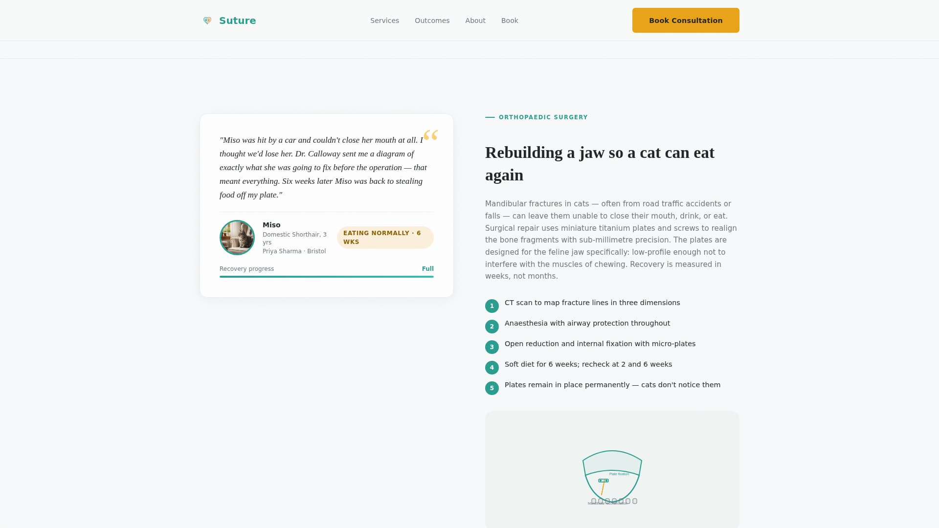 Suture - Trusted Veterinary Landing Page Template