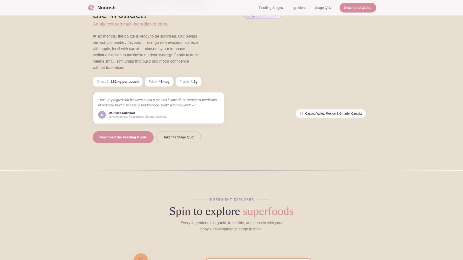Nourish - Trusted Babyfood Landing Page Template