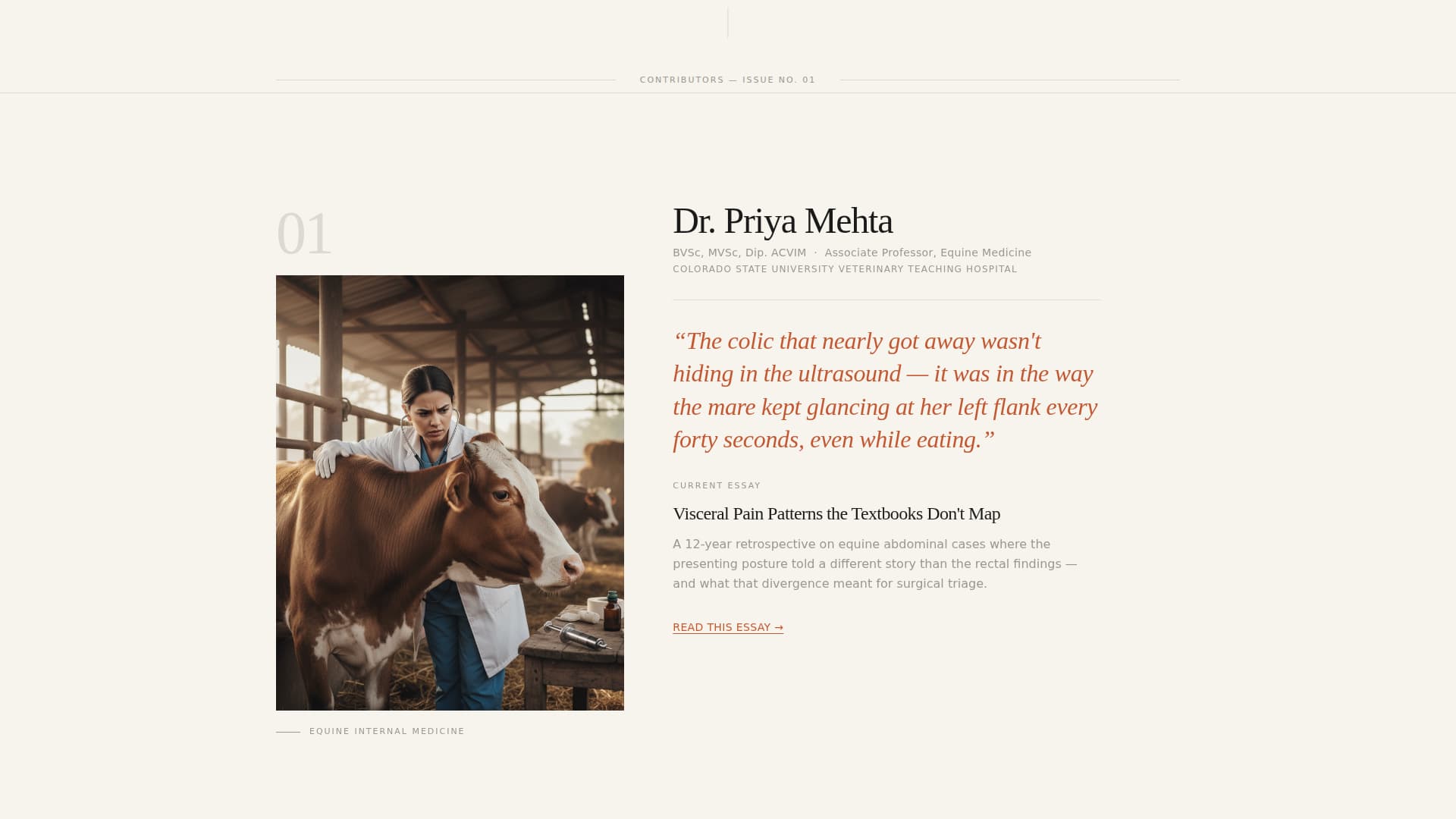 Rounds - Compelling Veterinary Landing Page Template