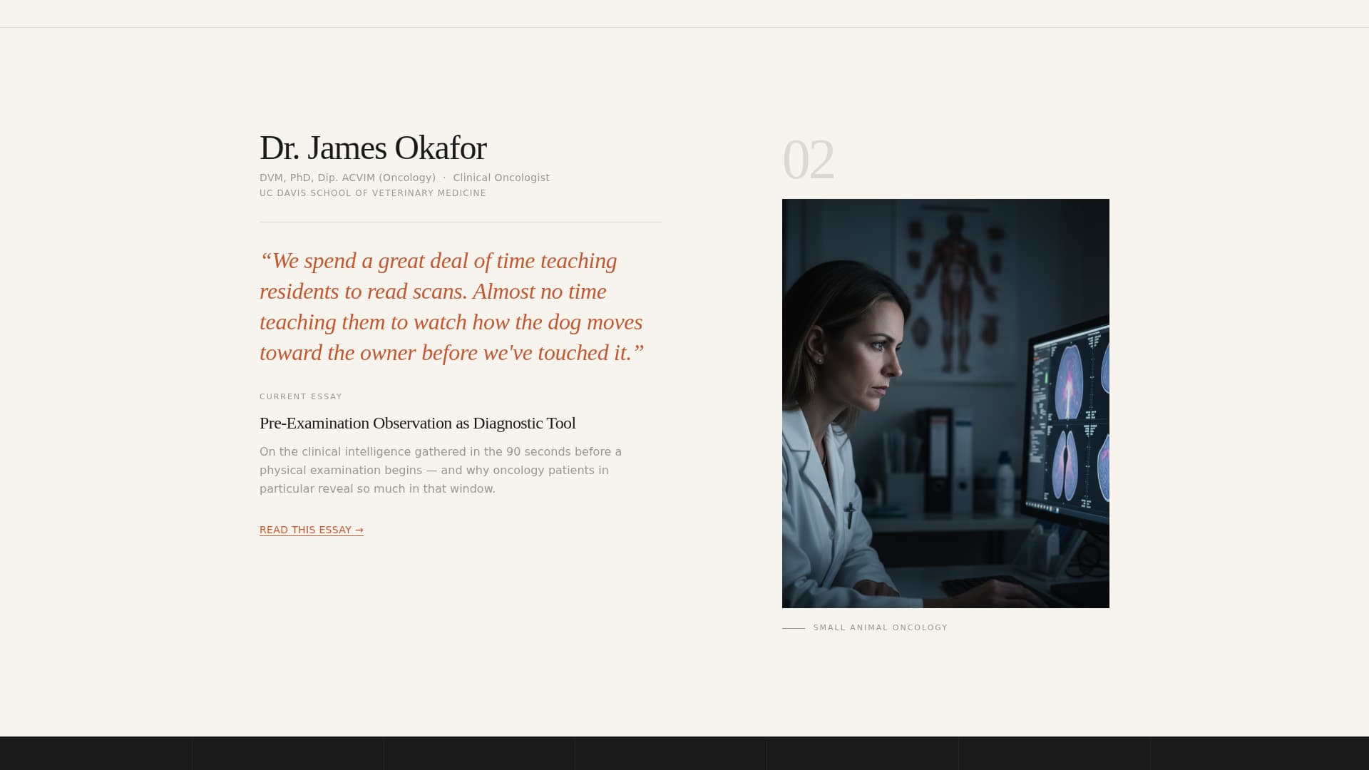 Rounds - Compelling Veterinary Landing Page Template