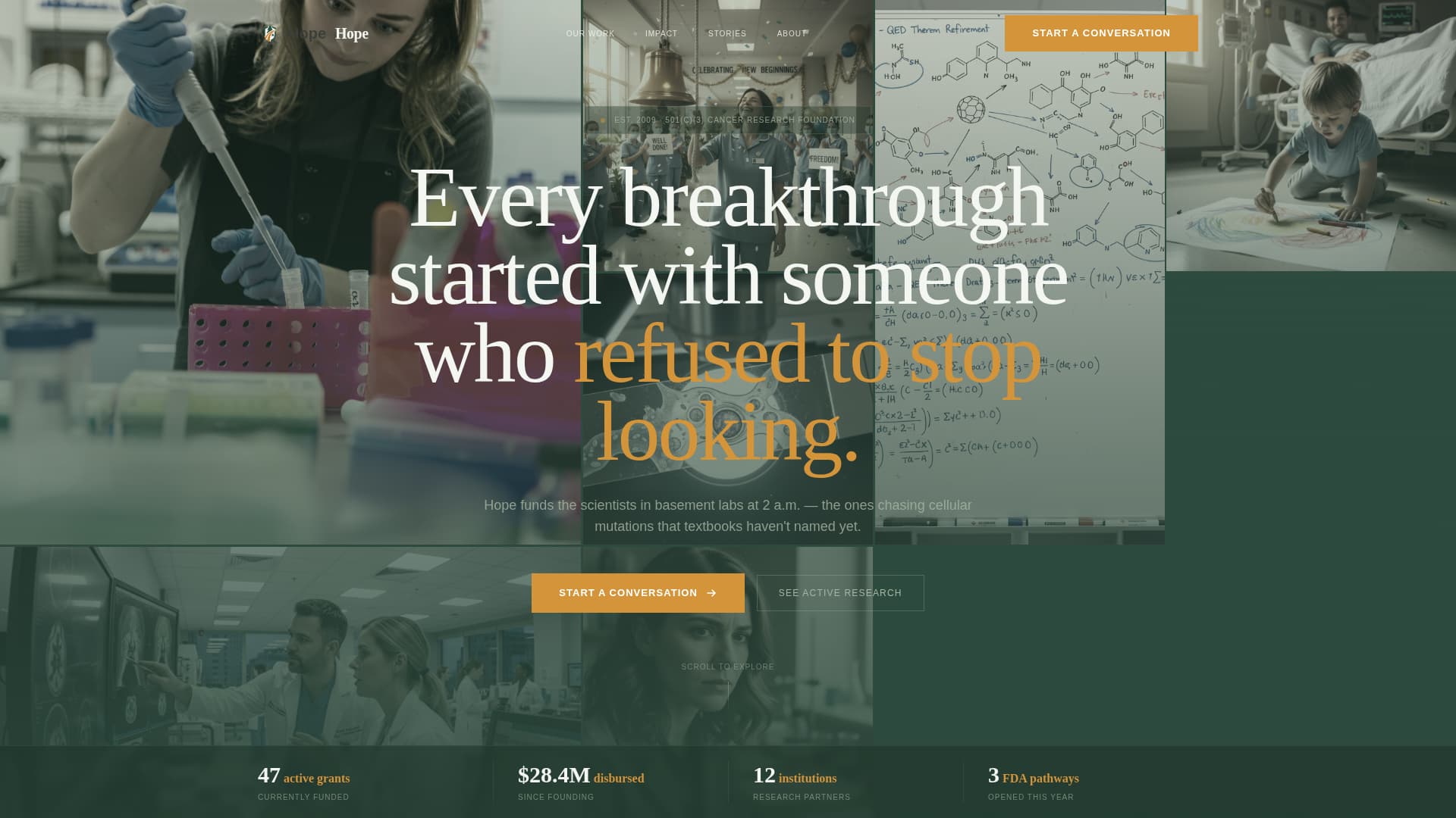 Hope - Inspiring Cancerresearch Landing Page Template