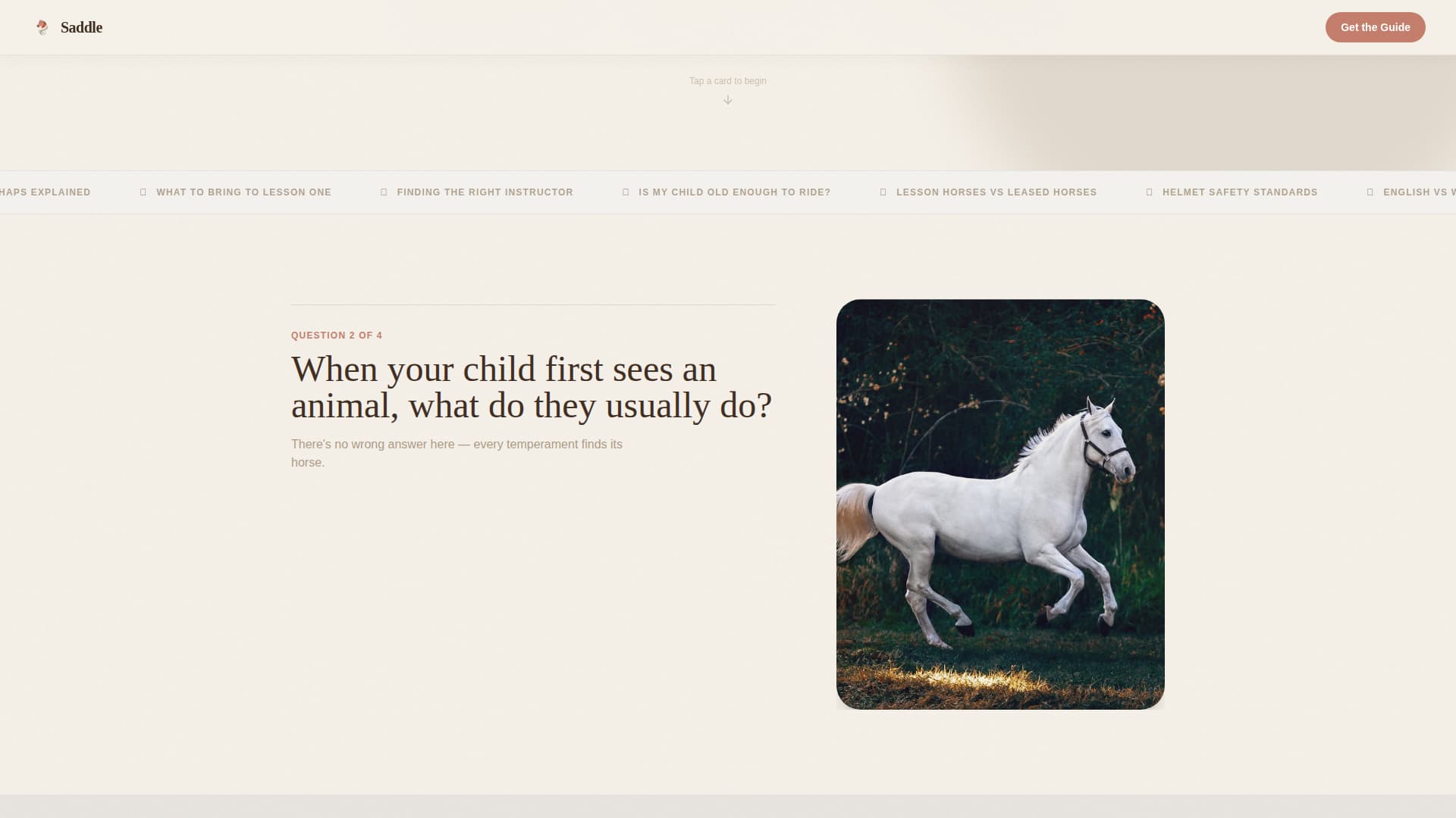Saddle - Trusted Equestrian Landing Page Template