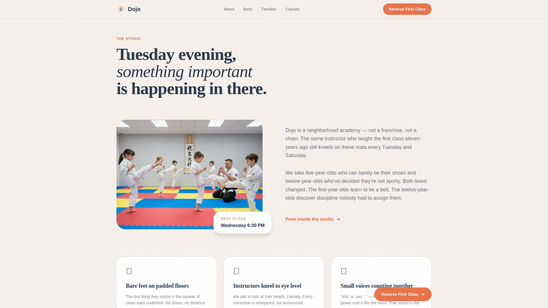 Dojo - Inspiring Kids Martial Arts Landing Page Template